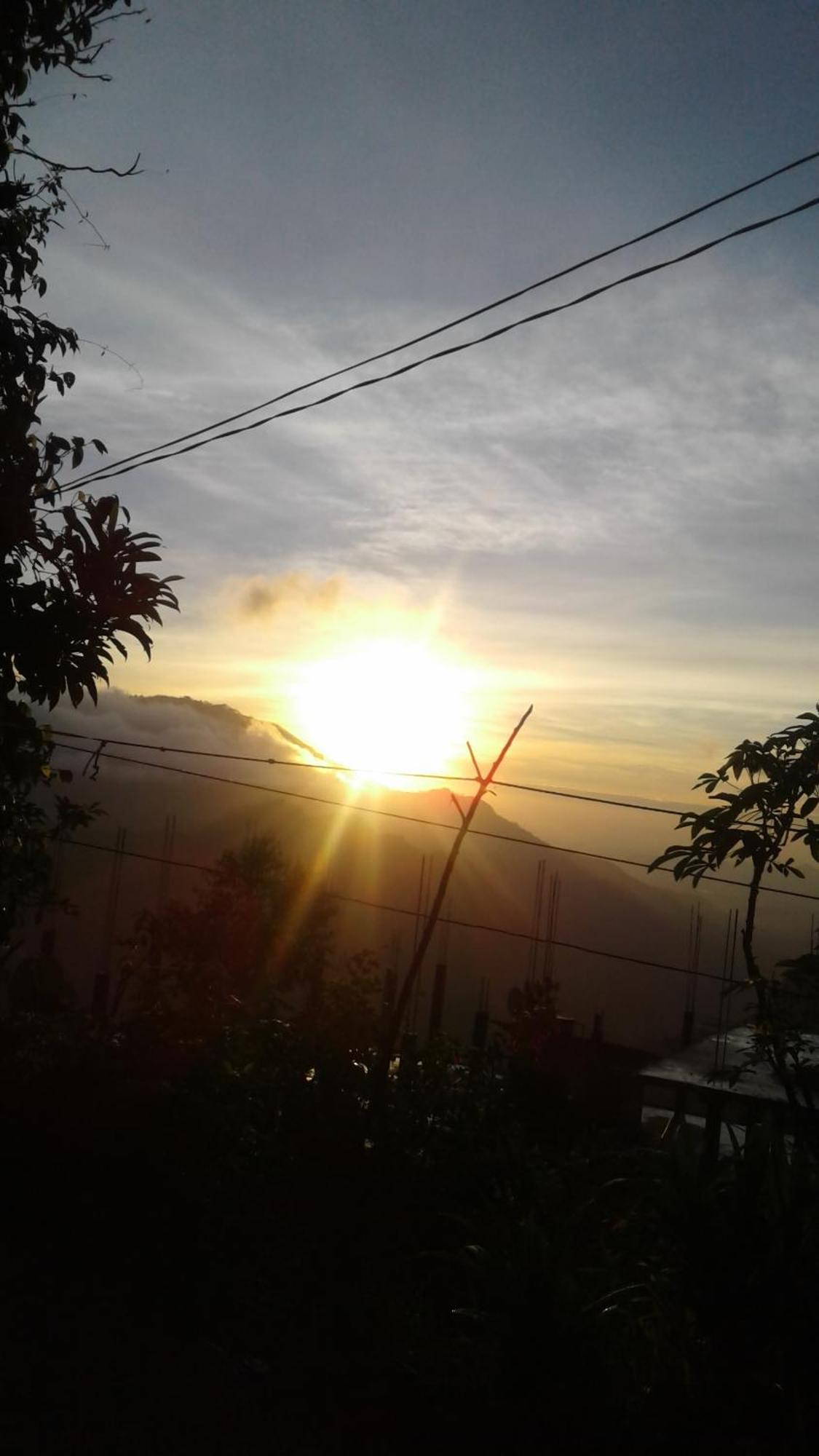 Malithis *