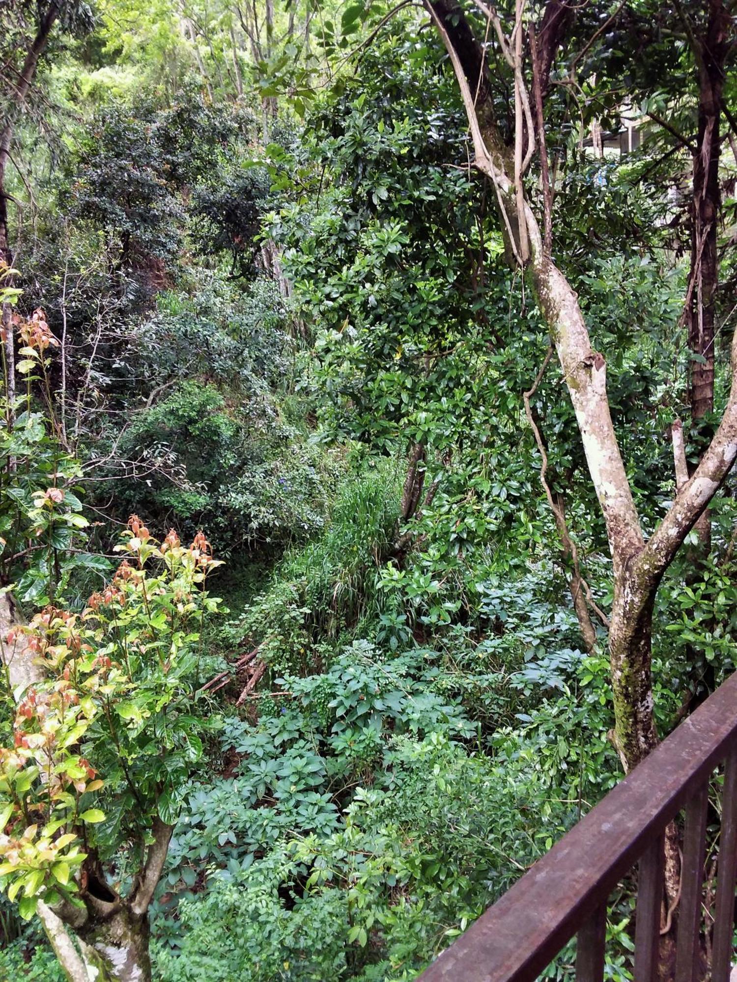 Ella Green Cottages Guest house 3*