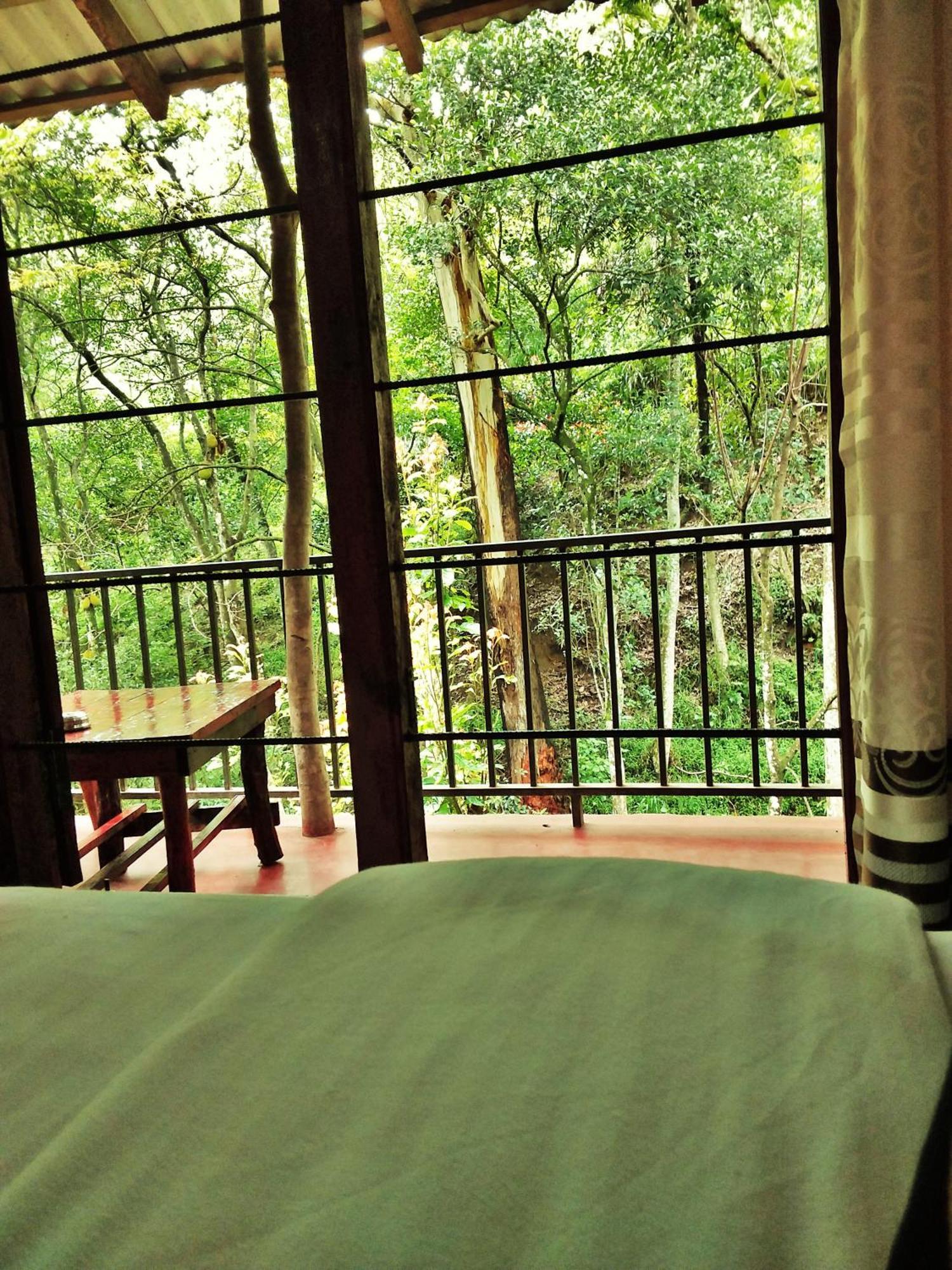 Ella Green Cottages Guest house 3*