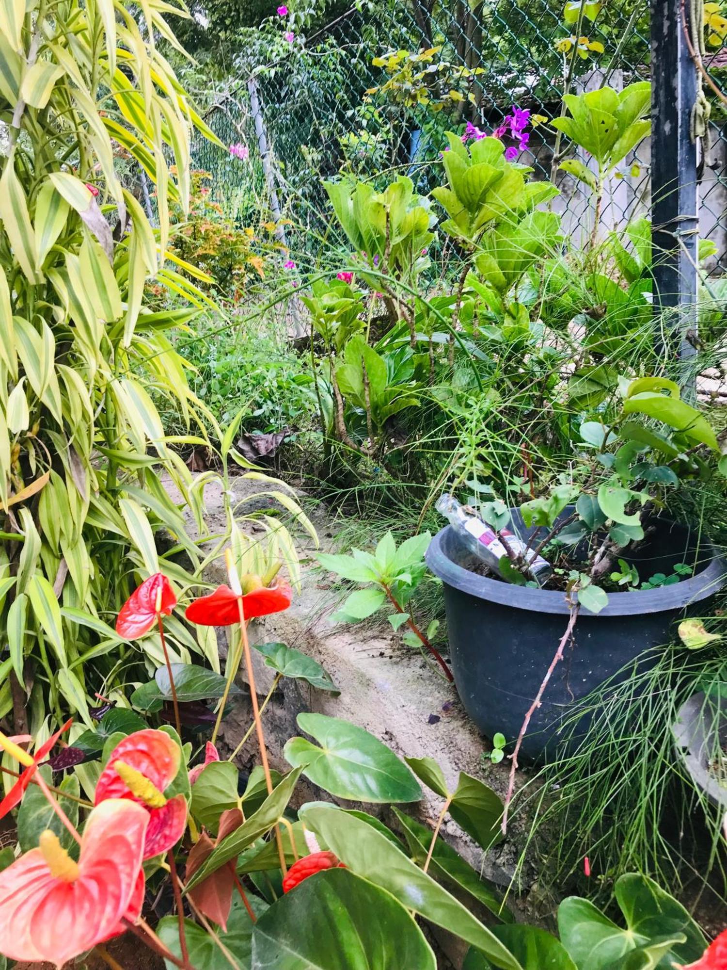 Cinnamon Homestay *