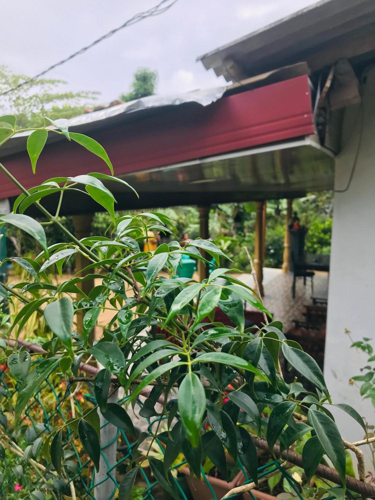 Homestay Cinnamon Ella