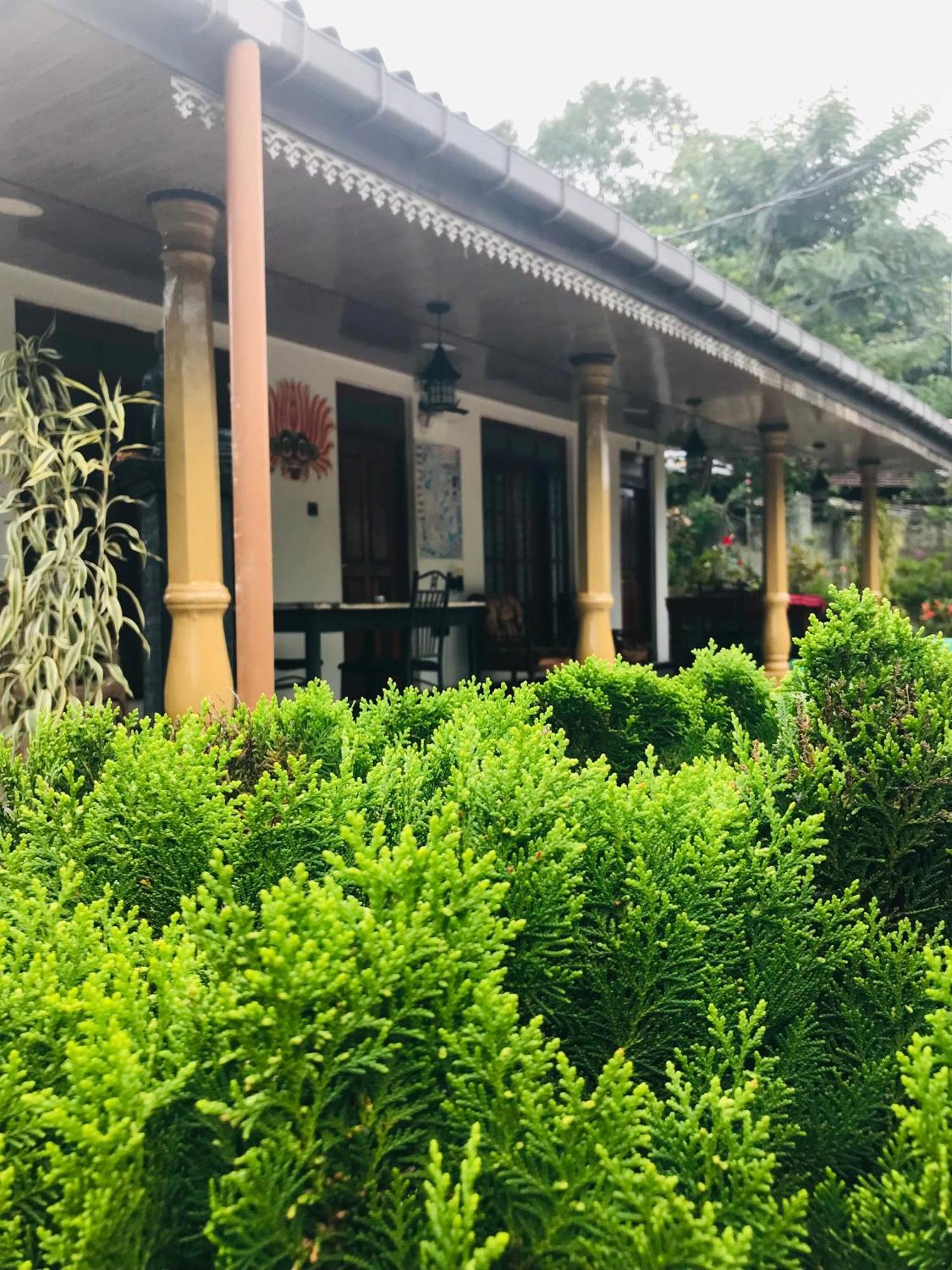 Homestay Cinnamon Ella
