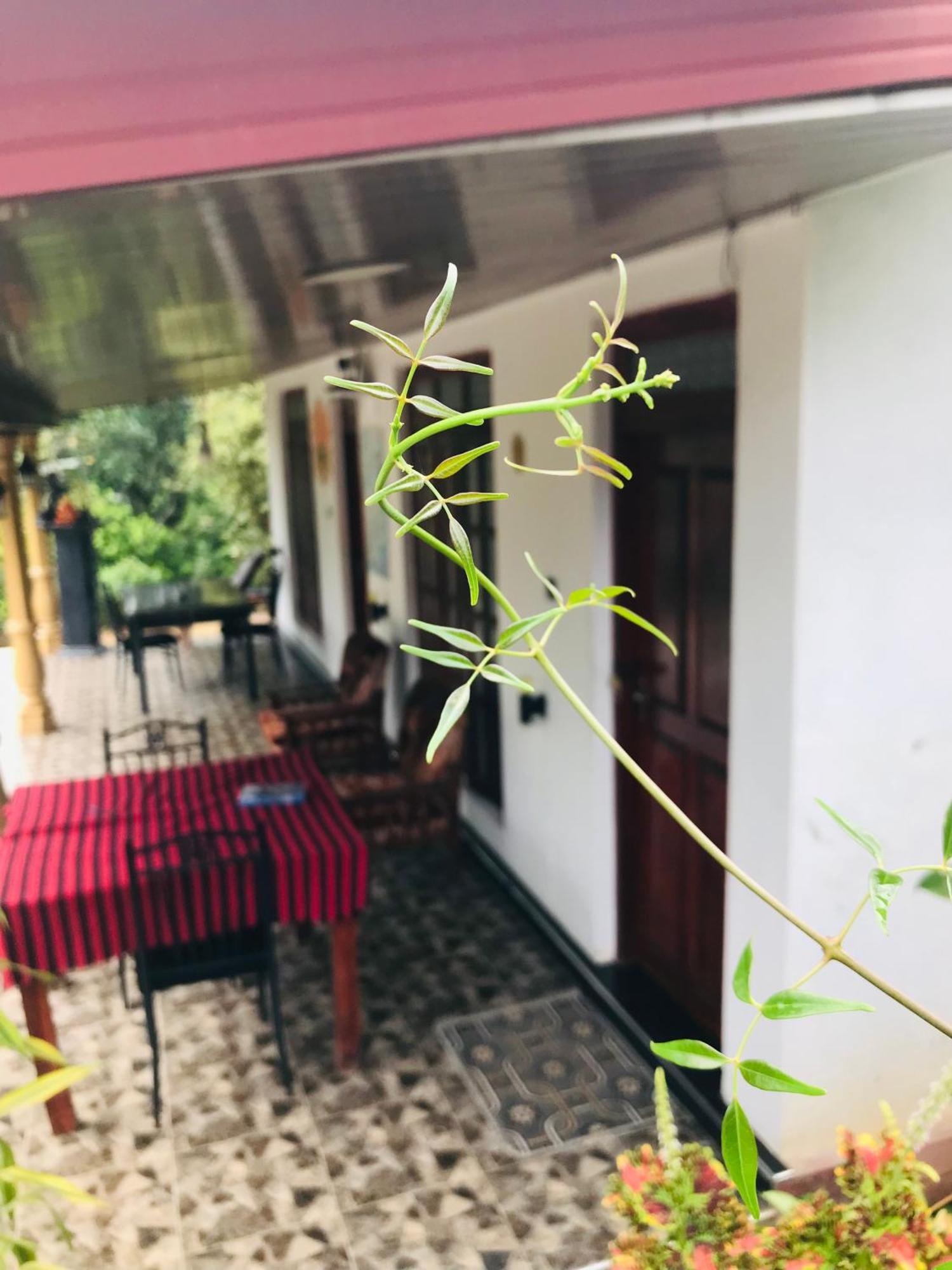 Cinnamon Homestay