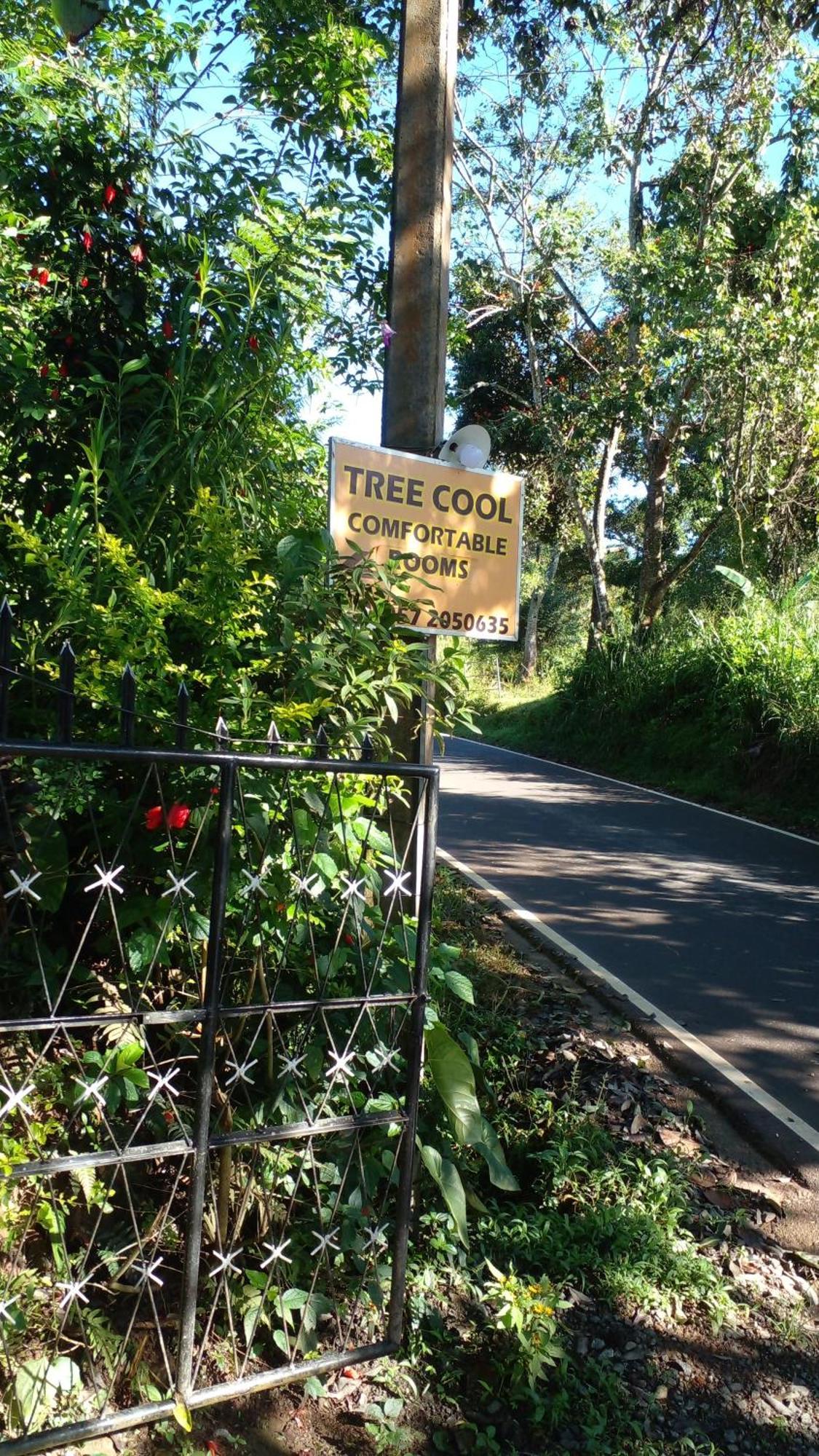 Tree Cool *