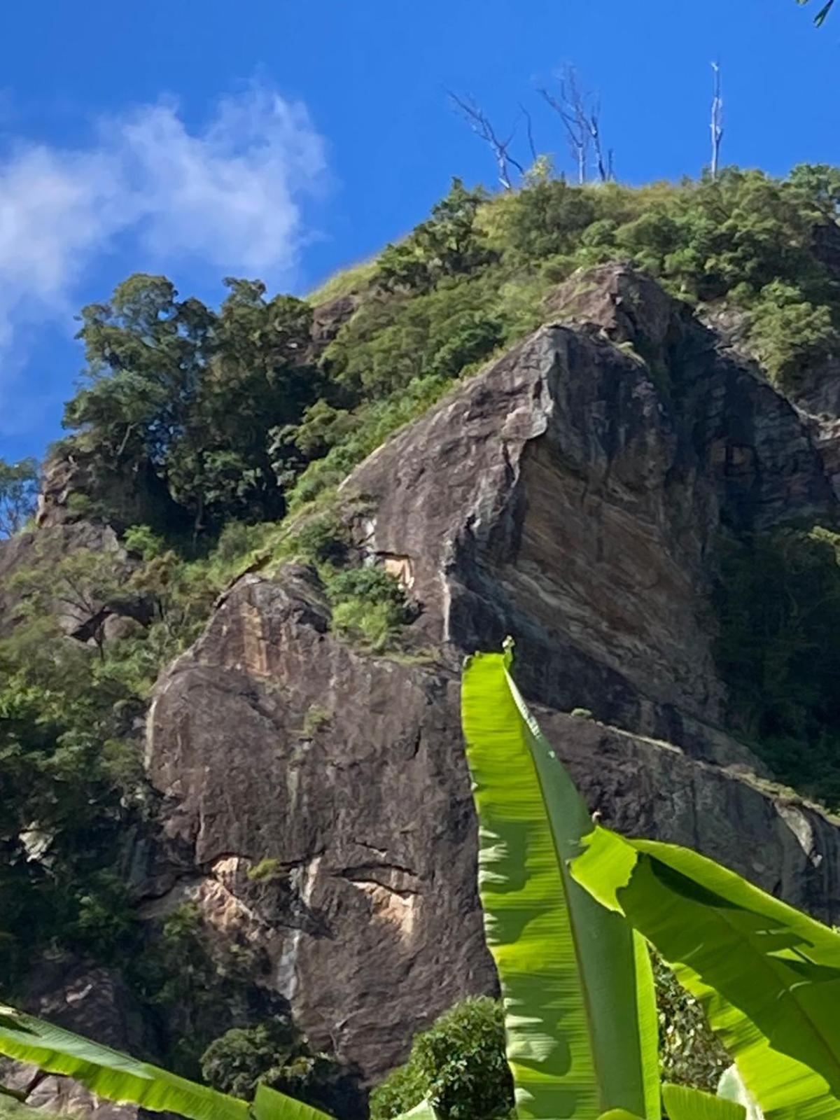 Nature On Rock Ella