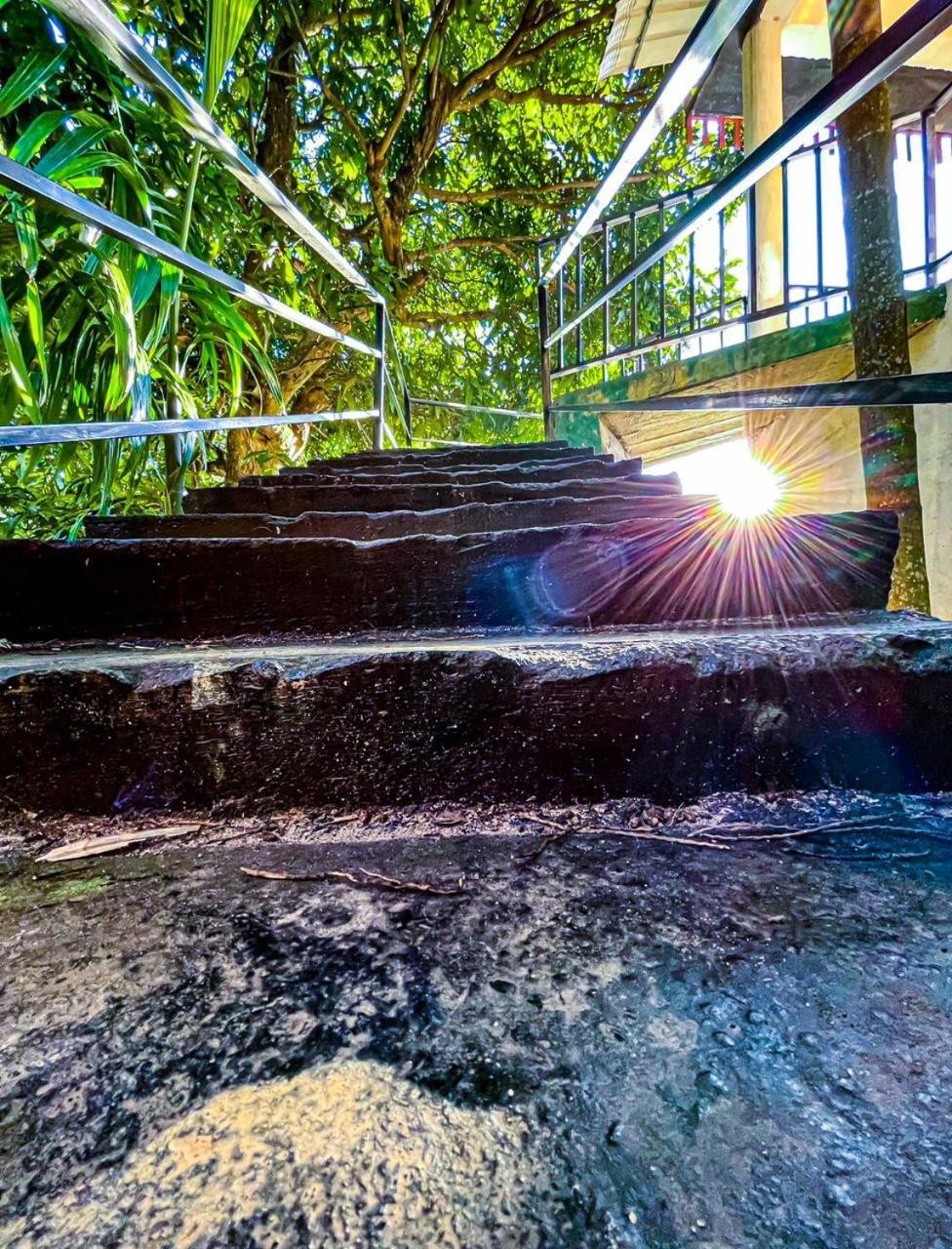 Guest house Nature On Rock