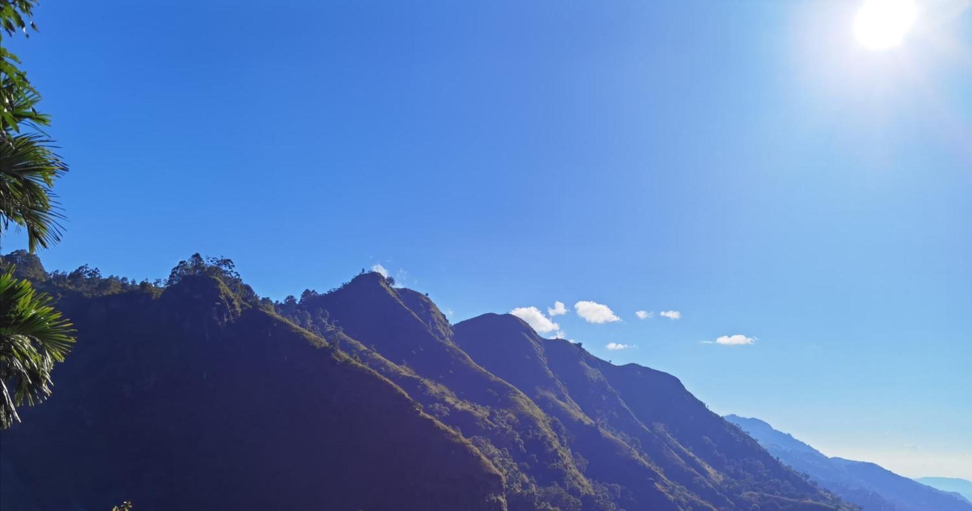 Nature On Rock *