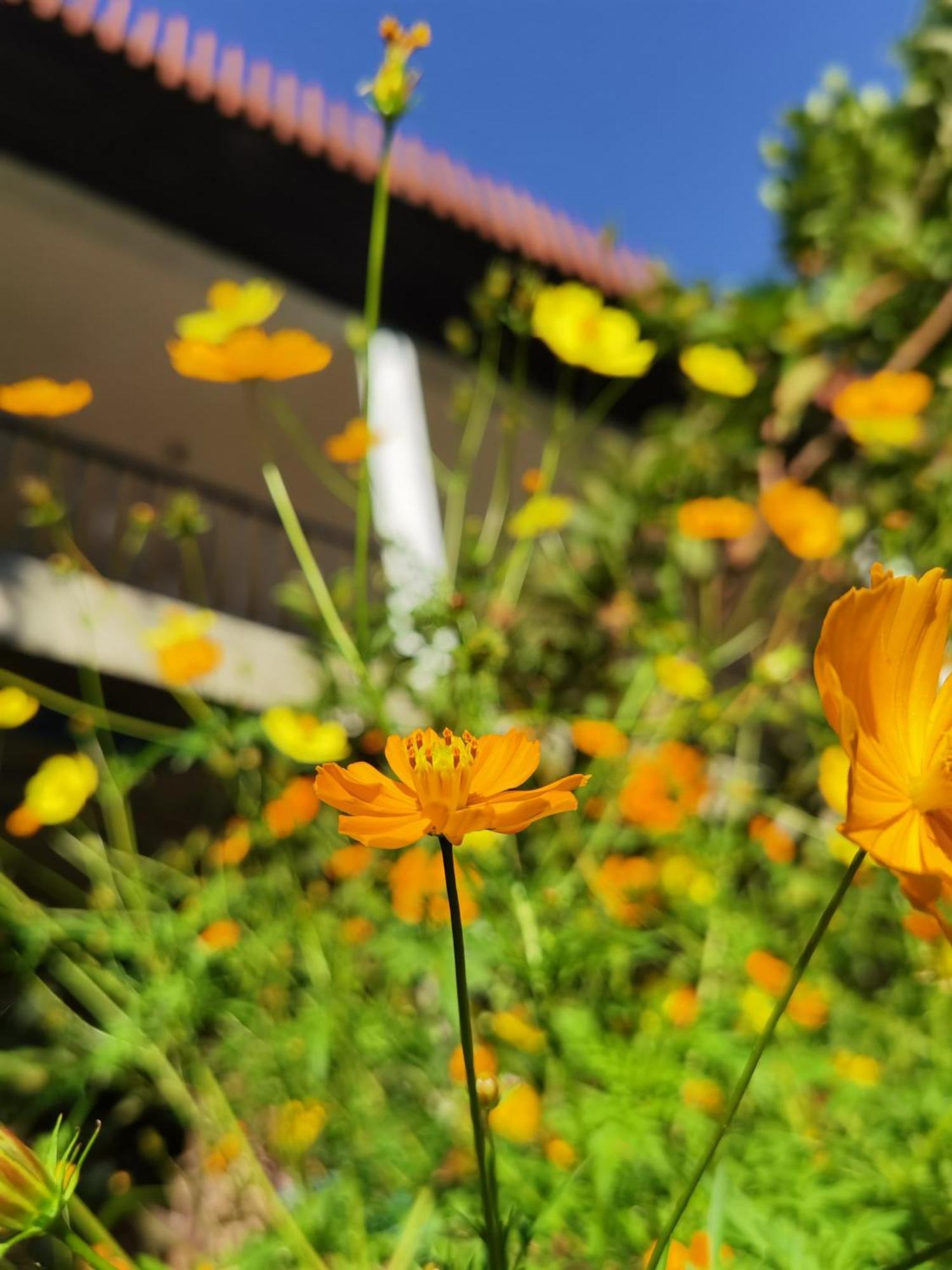 Guest house Nature On Rock *