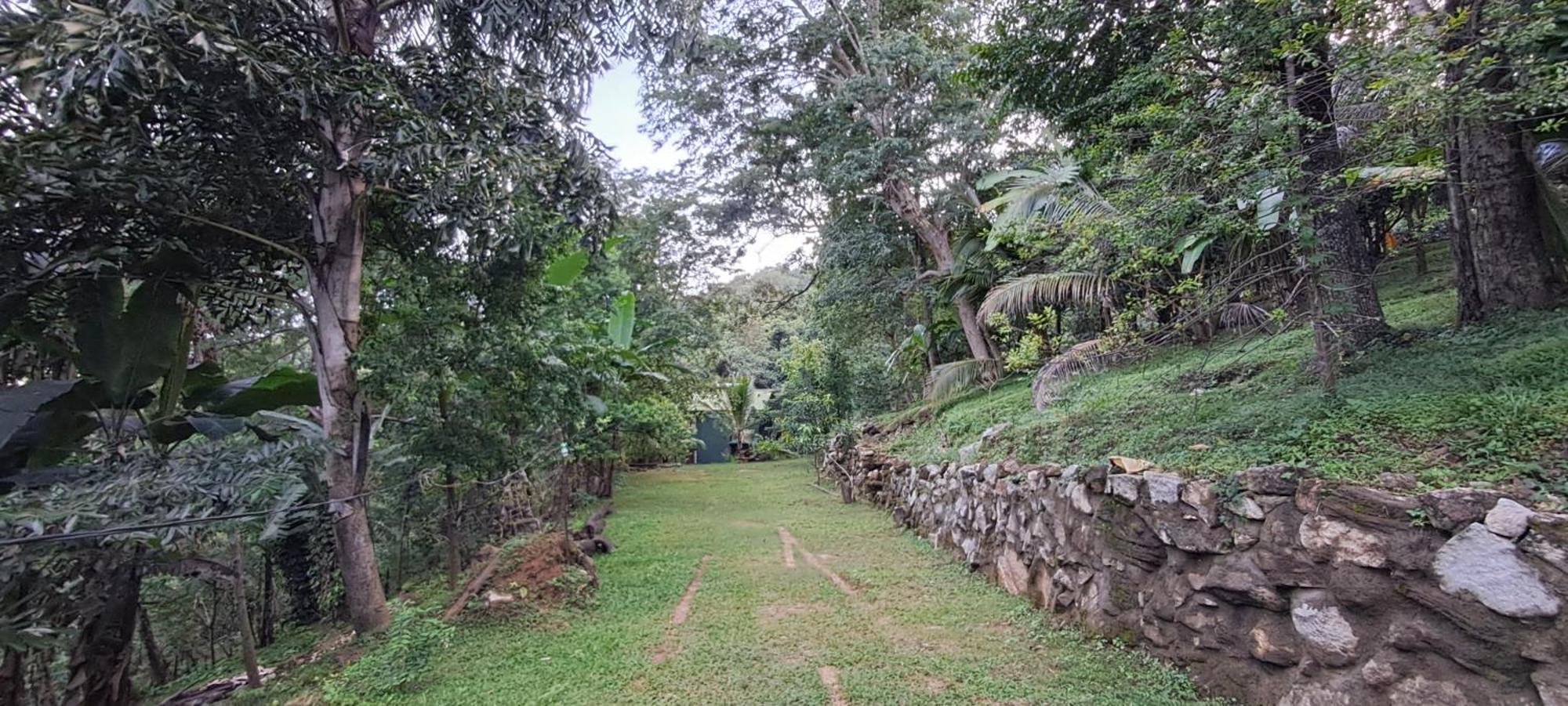 Moon Light- Sunrise Guest house