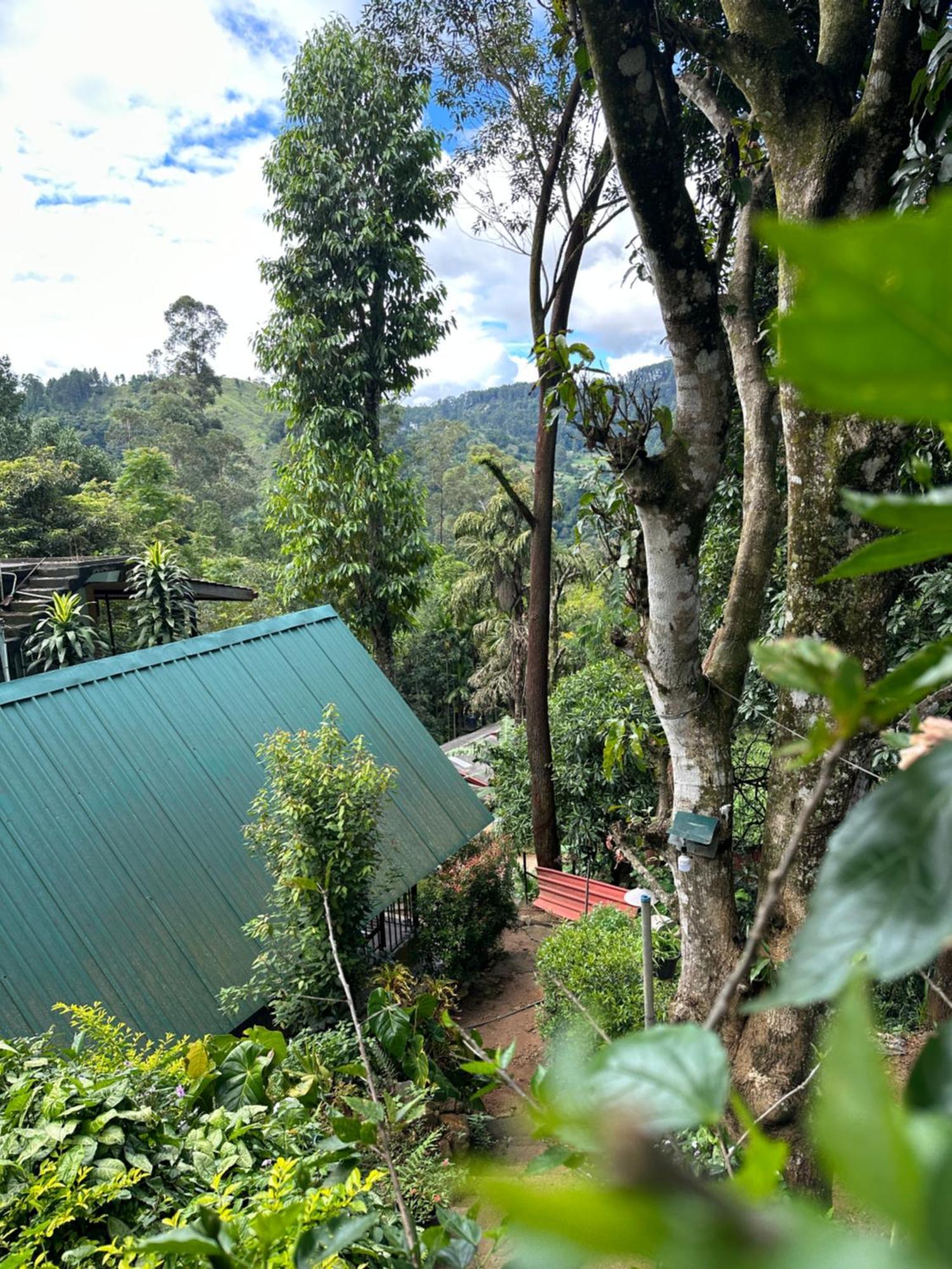 Fair View