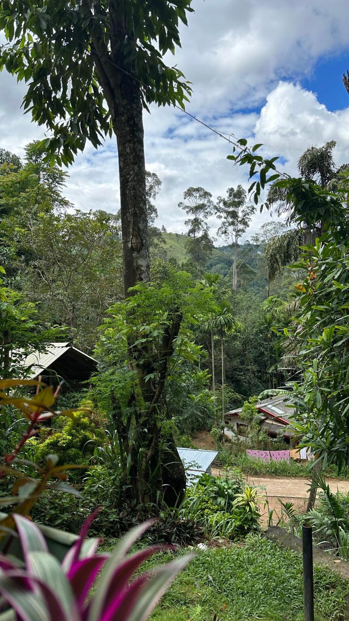 Country house Fair View