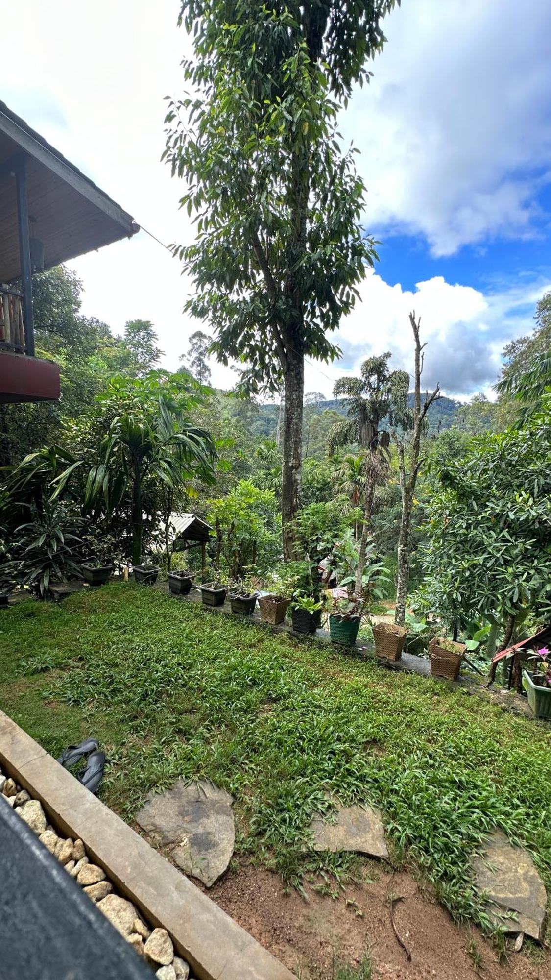 Country house Fair View