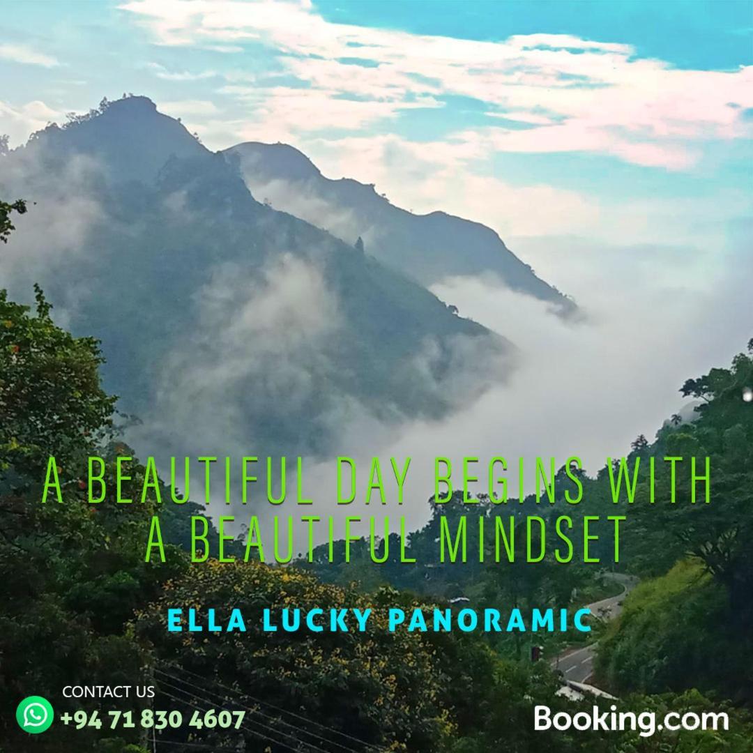 Lucky Panoramic Ella