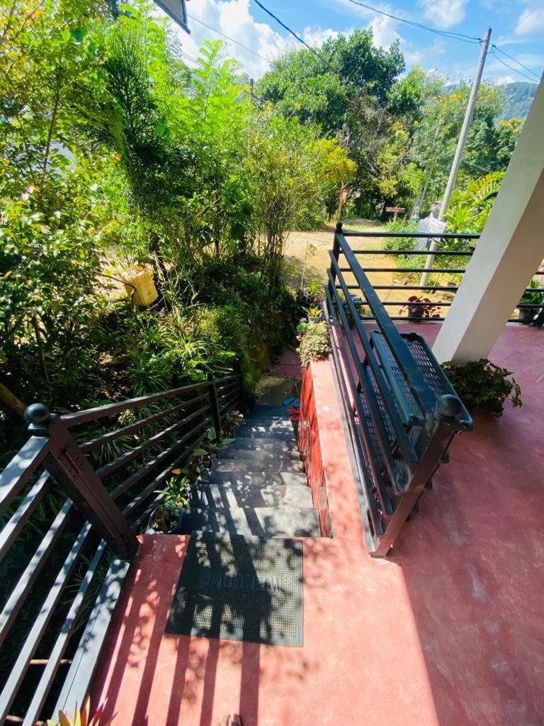 Homestay Mellow *