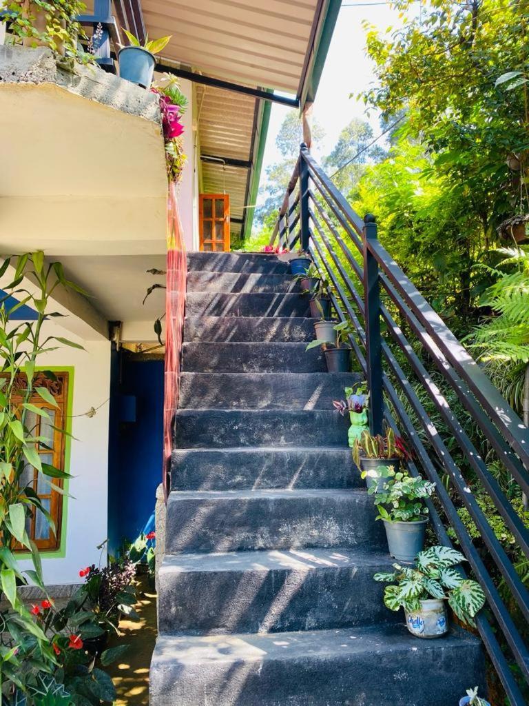 Mellow Homestay