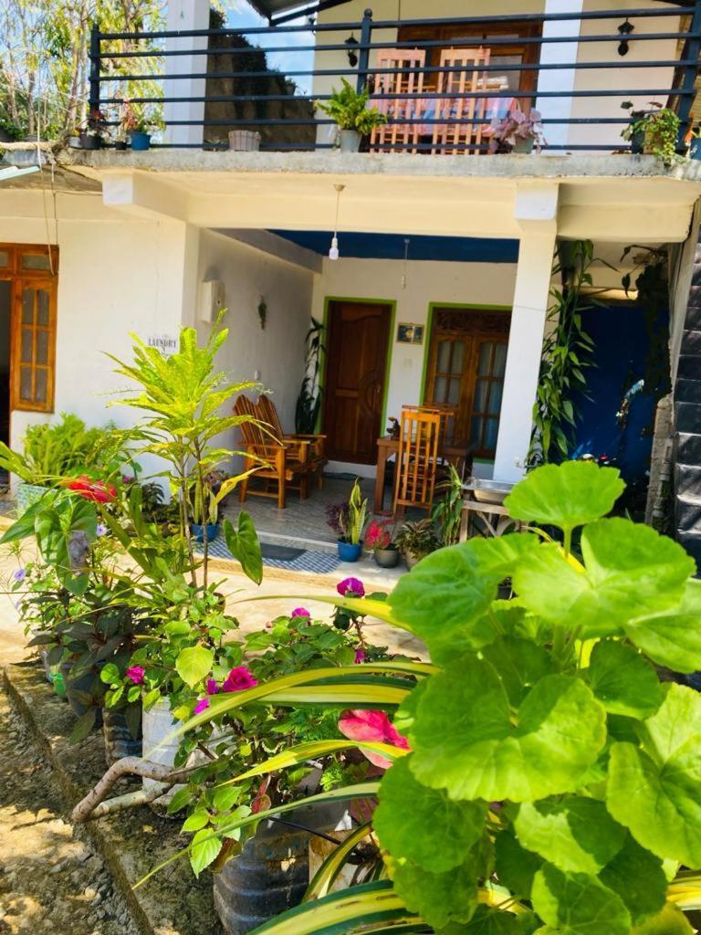 Mellow Homestay