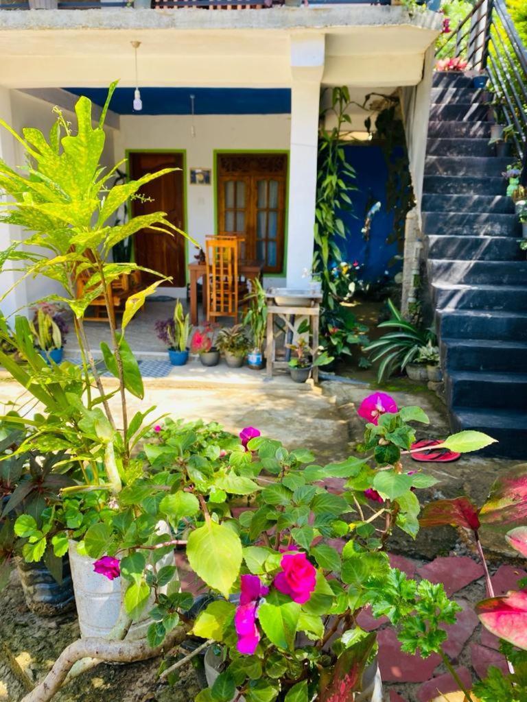 Mellow Homestay *