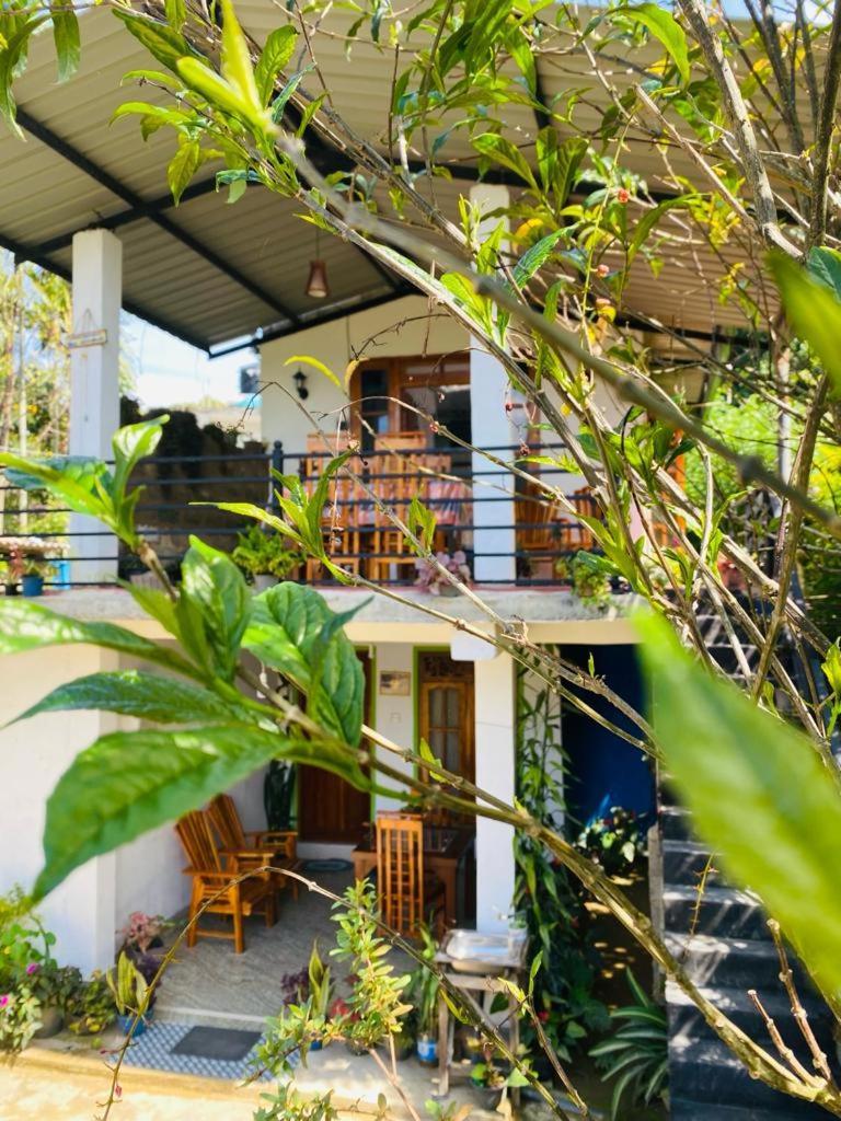 Mellow Homestay *