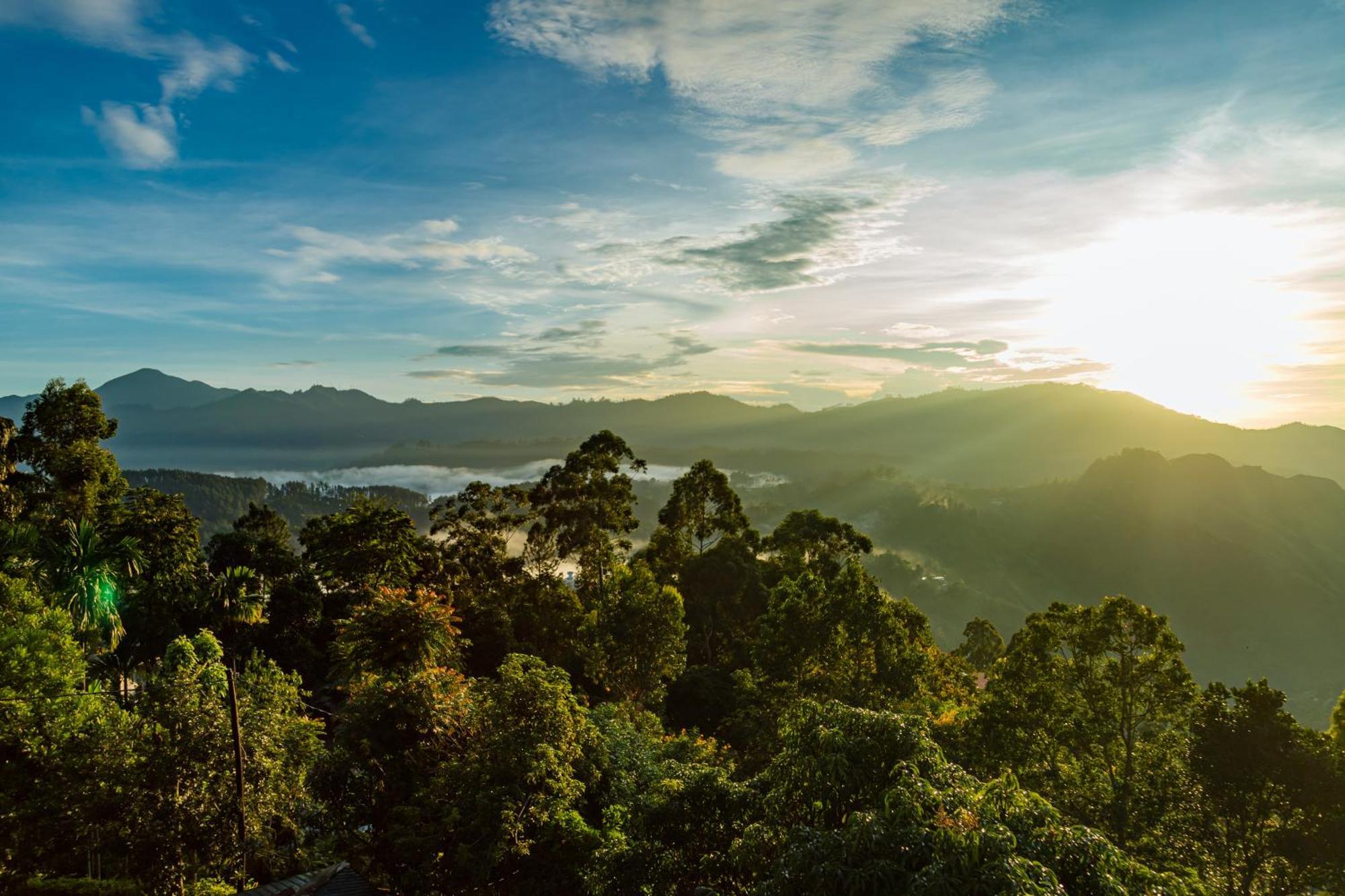 Golden View Guest *