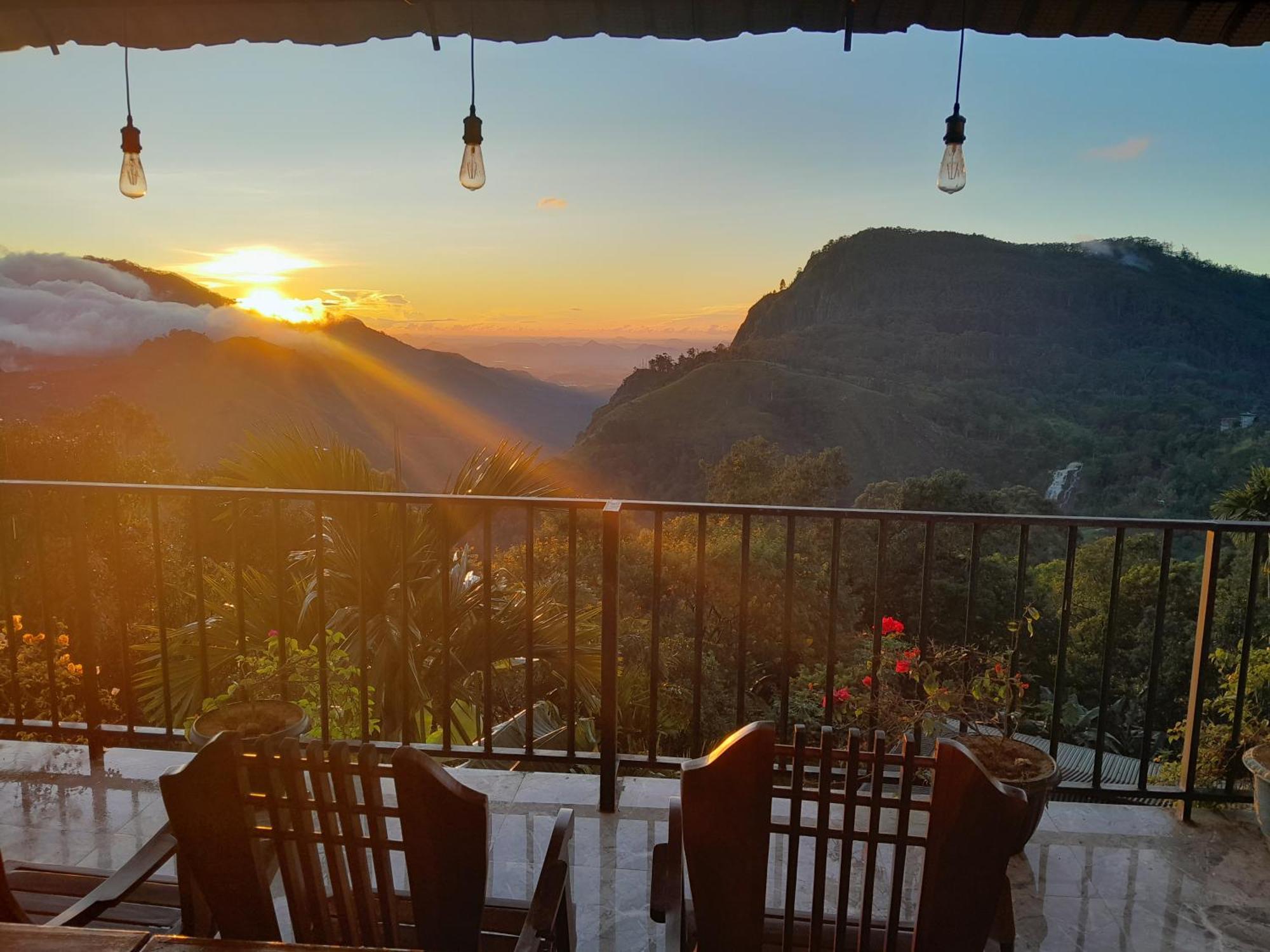Golden View Guest *