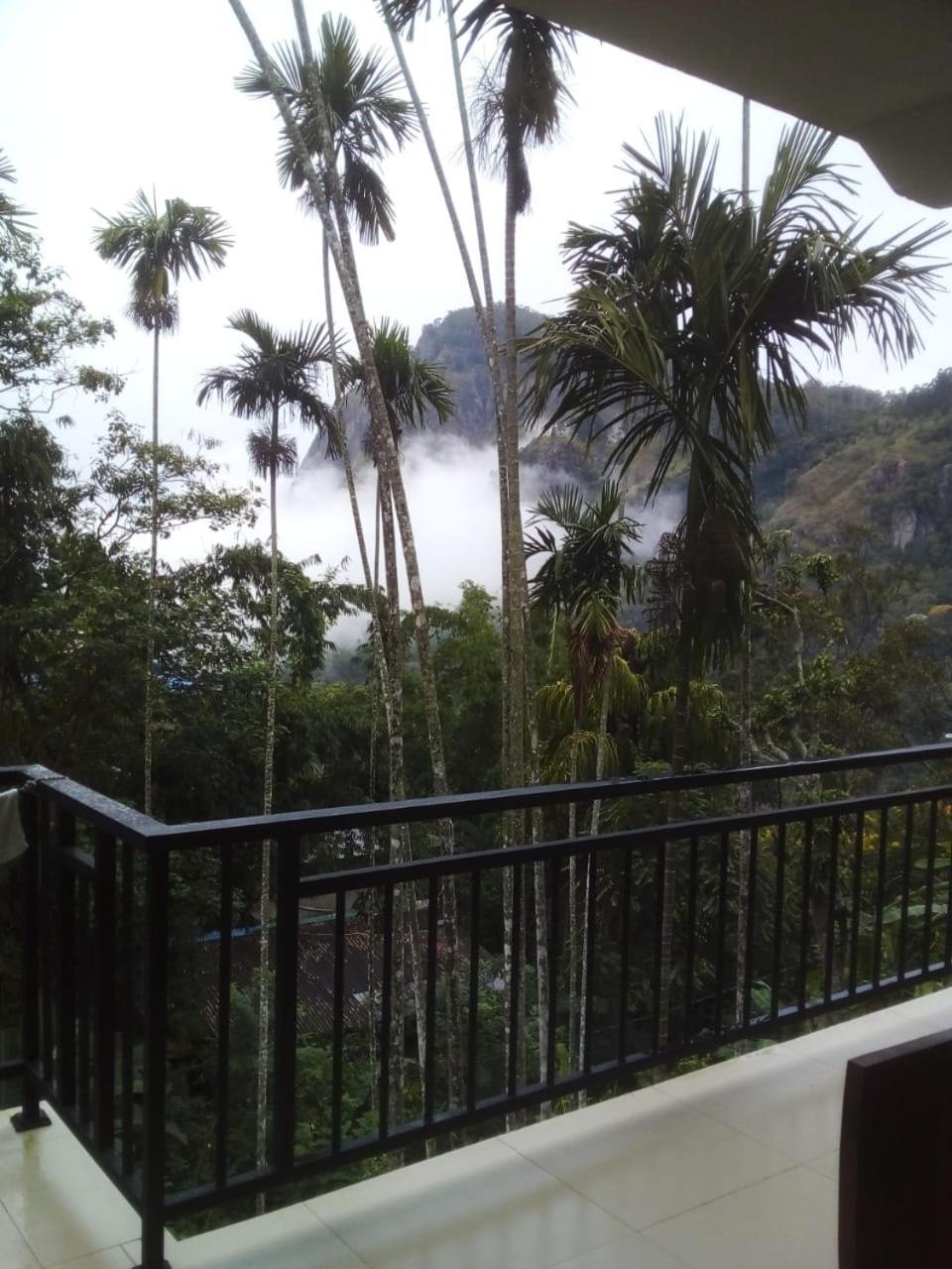 Misty Heaven Ella