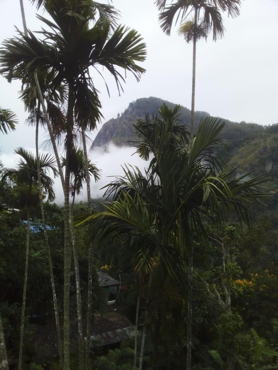 Misty Heaven *