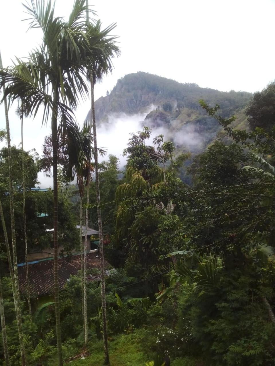 Misty Heaven * Ella