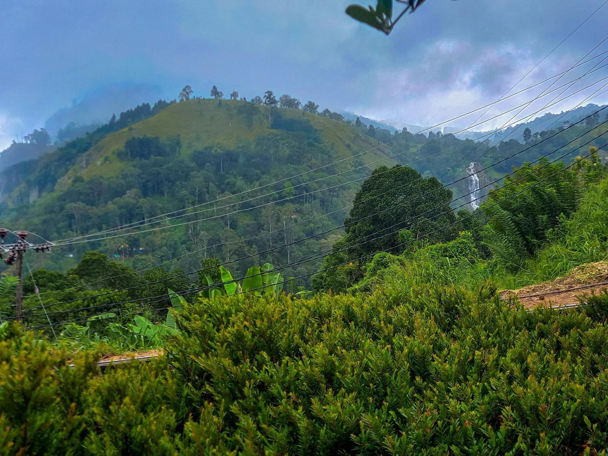 Happy View Homestay *