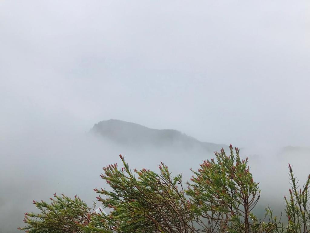 Nature Rock