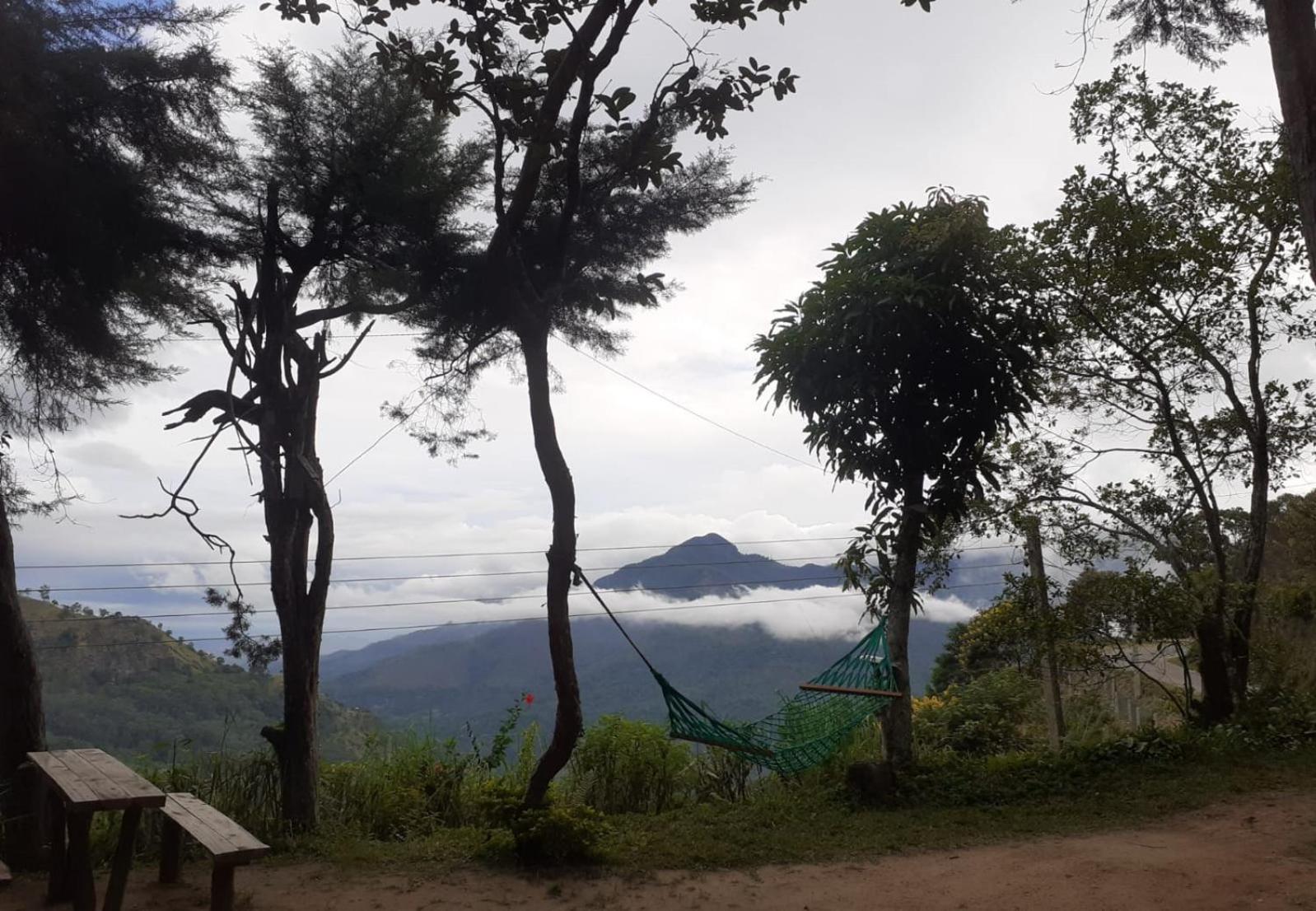 Dew Drop Resort