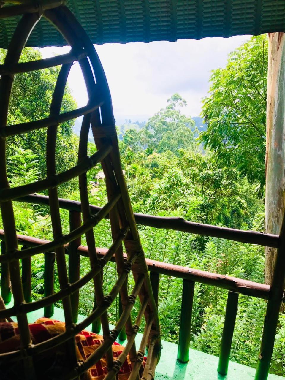 View & Restaurant Homestay