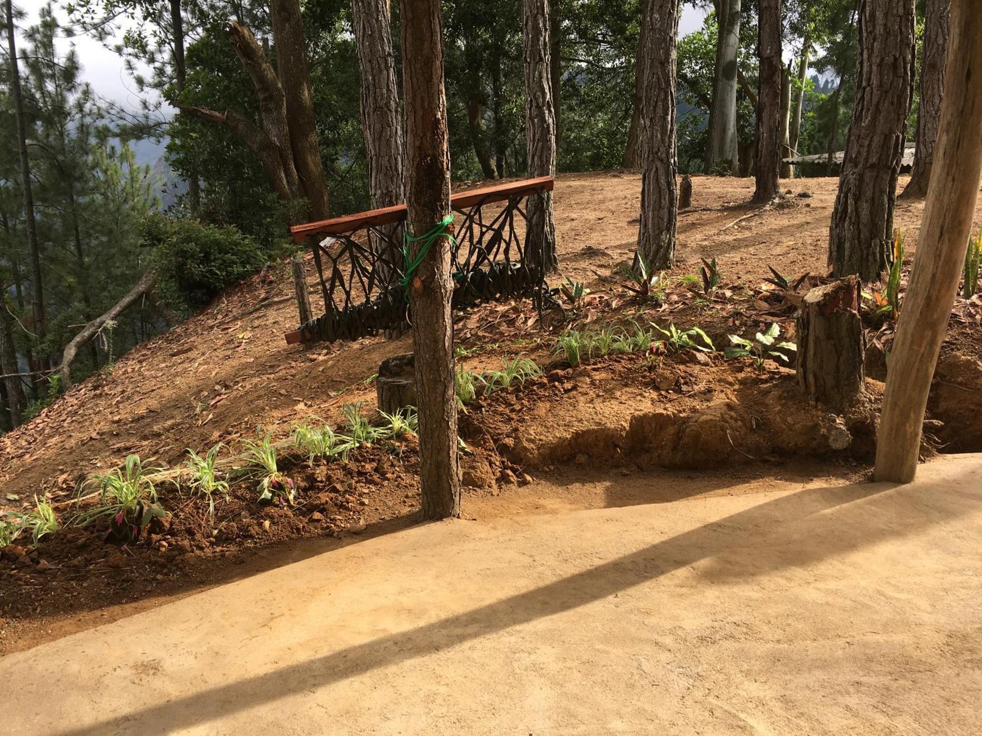 Mount Paradise