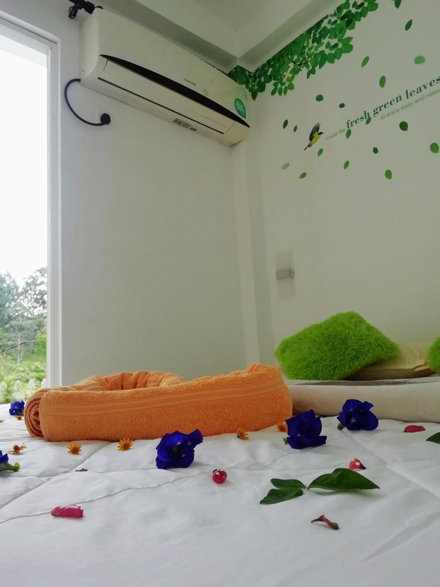 Homestay Delightful Surround
