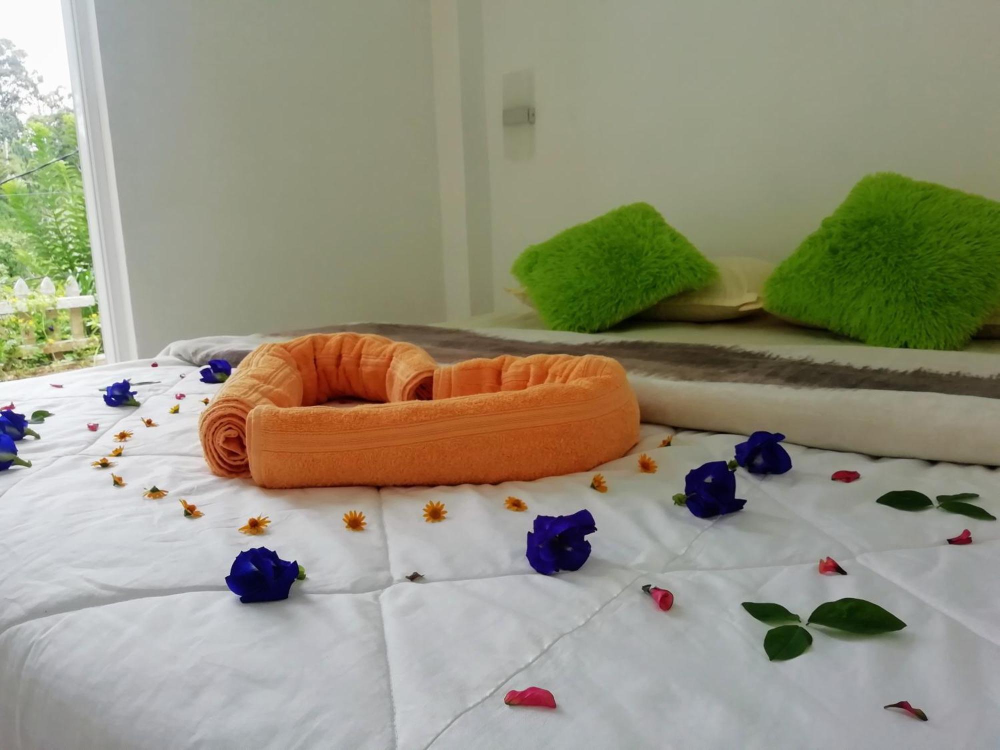 Homestay Delightful Surround *