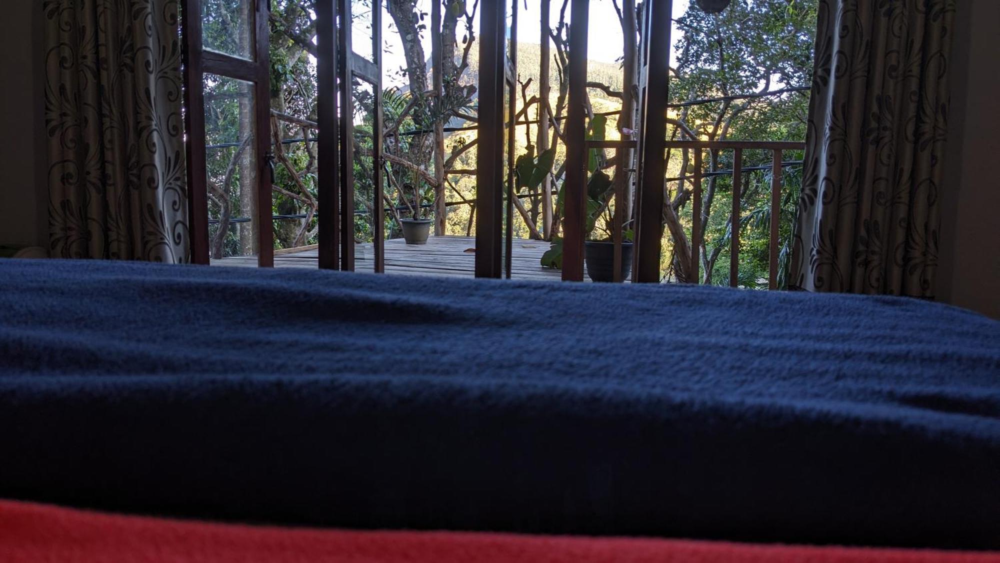 Nature Nest Homestay