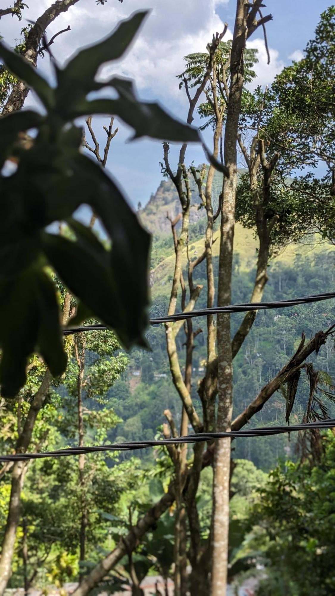 Homestay Nature Nest Ella
