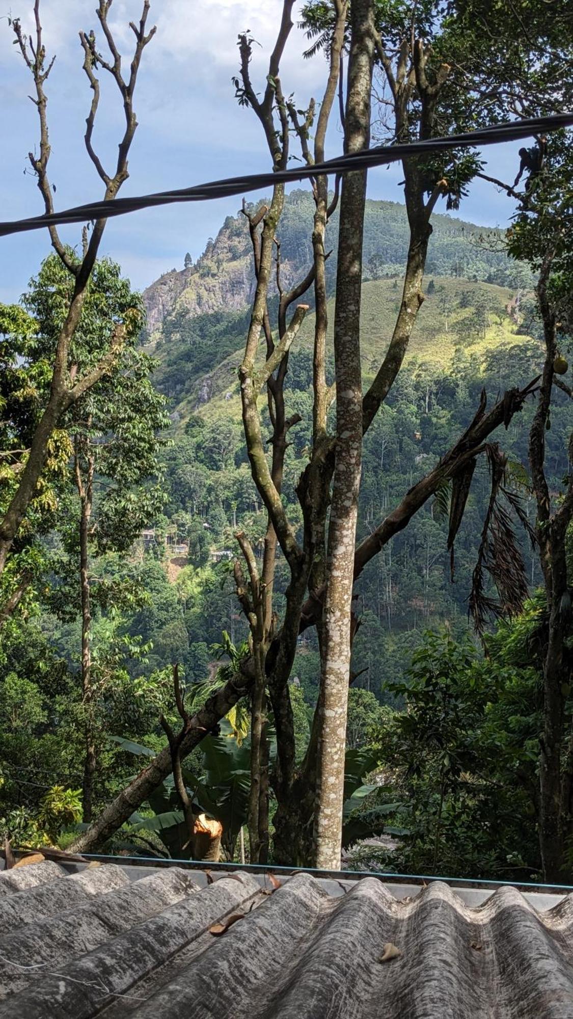 Homestay Nature Nest