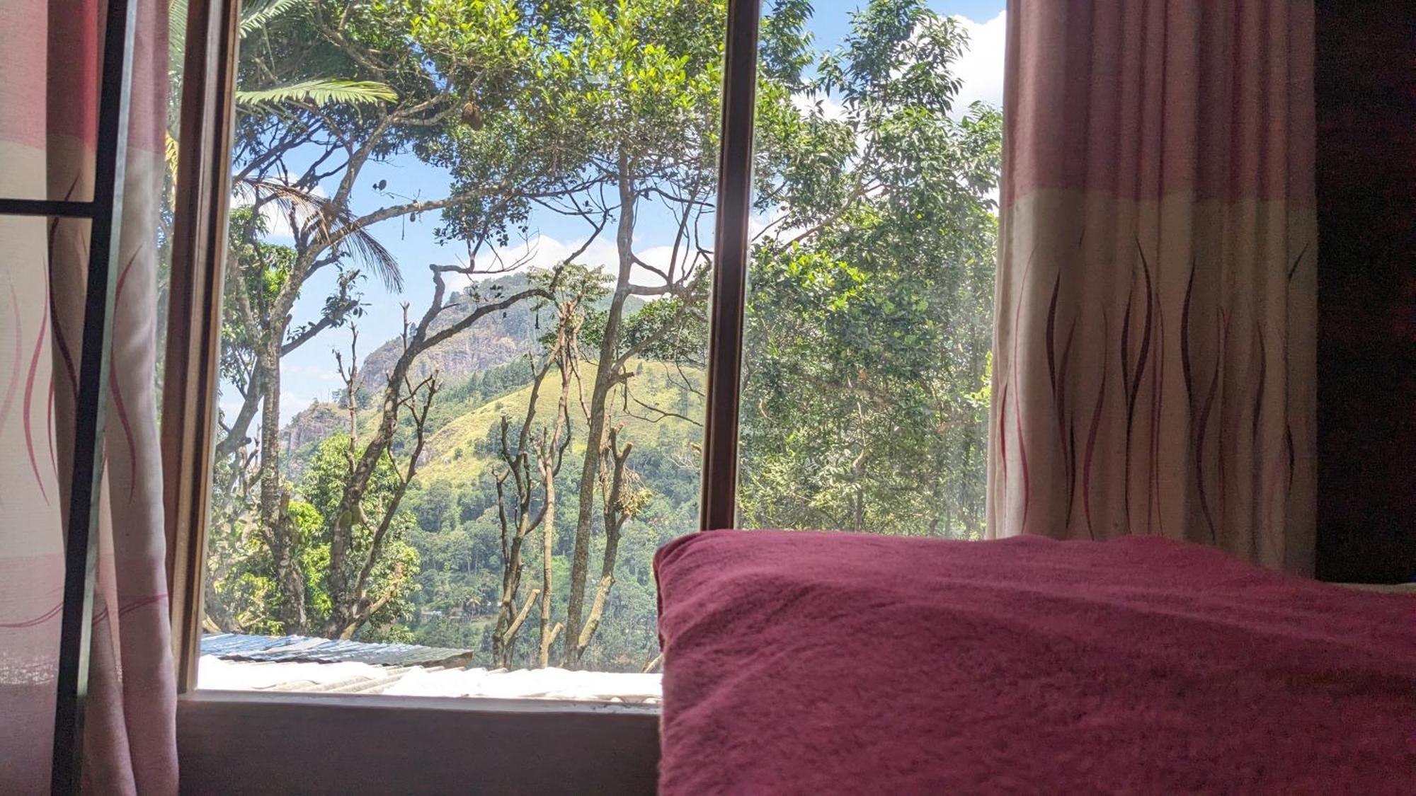 Homestay Nature Nest