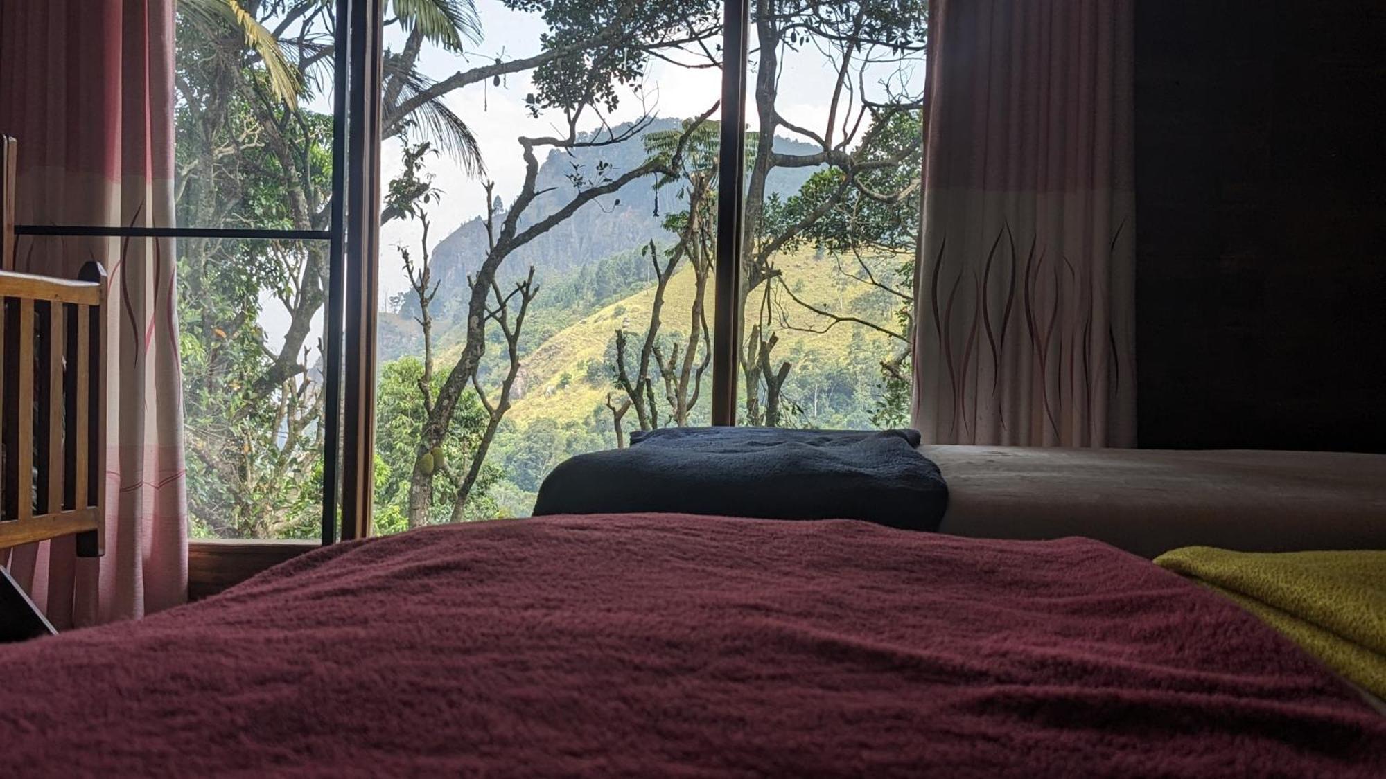 Nature Nest *