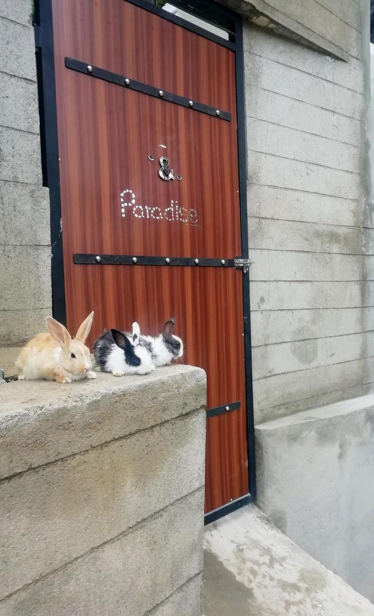 C&d Paradise Hotel