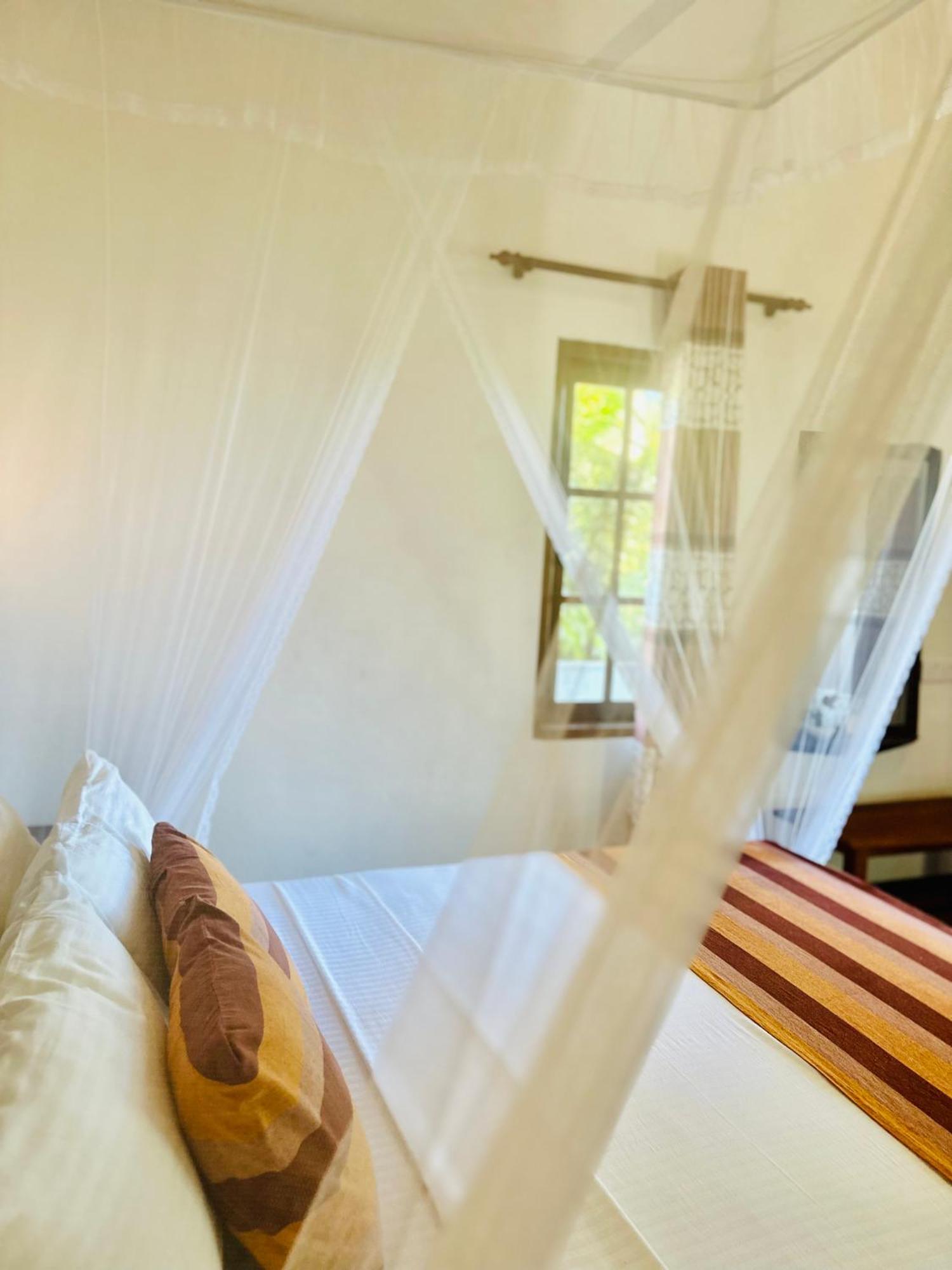 Homestay Festoon Ella
