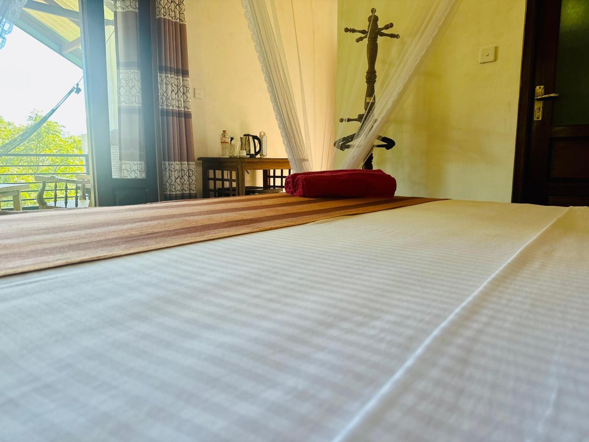 Homestay Festoon