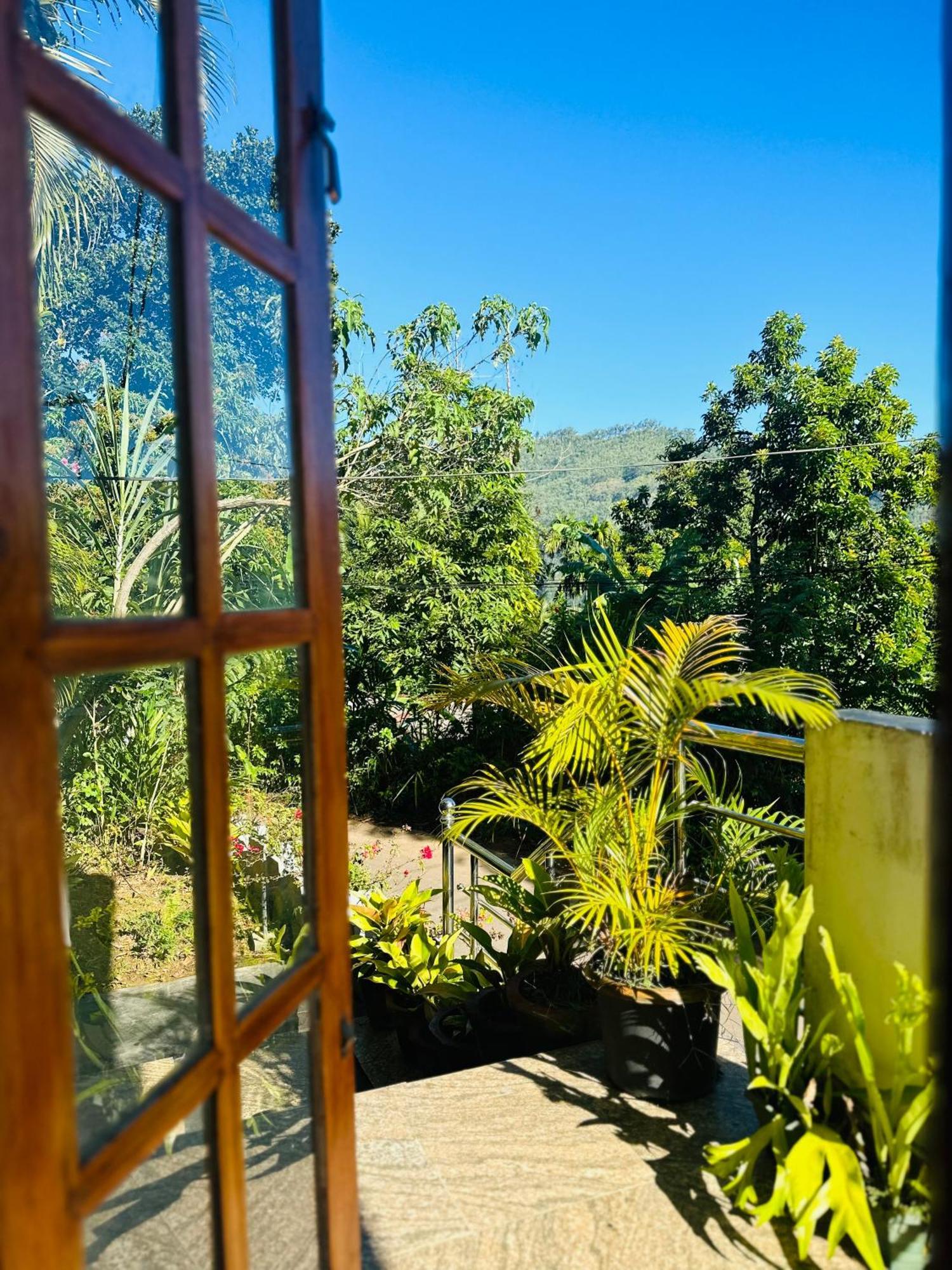 Homestay Festoon