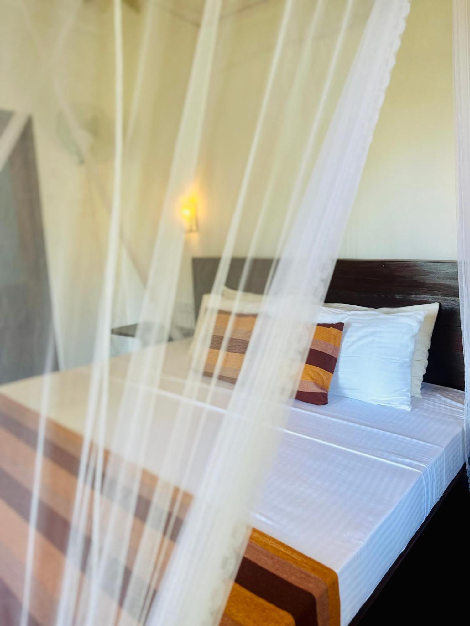 Festoon Homestay