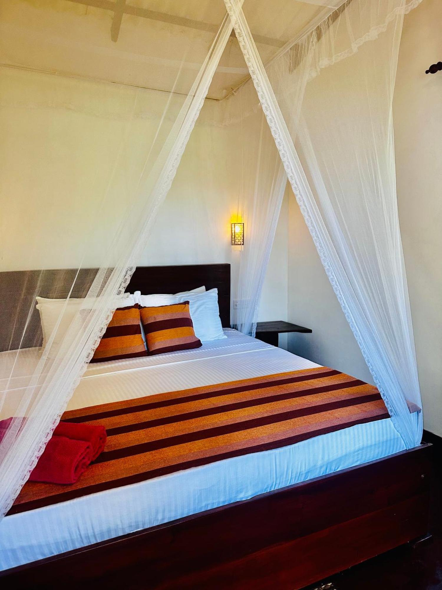Homestay Festoon