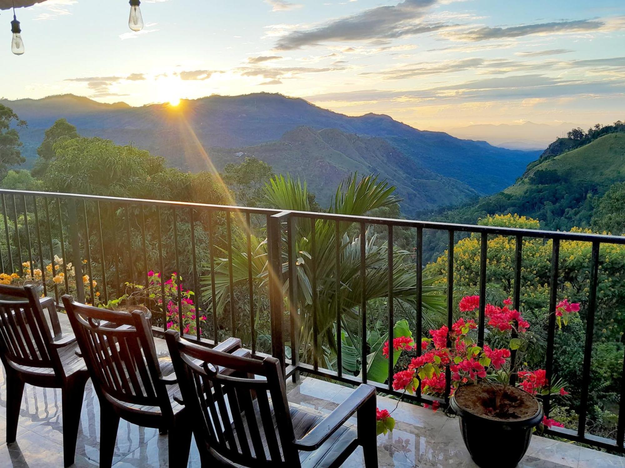 Golden View Guest *
