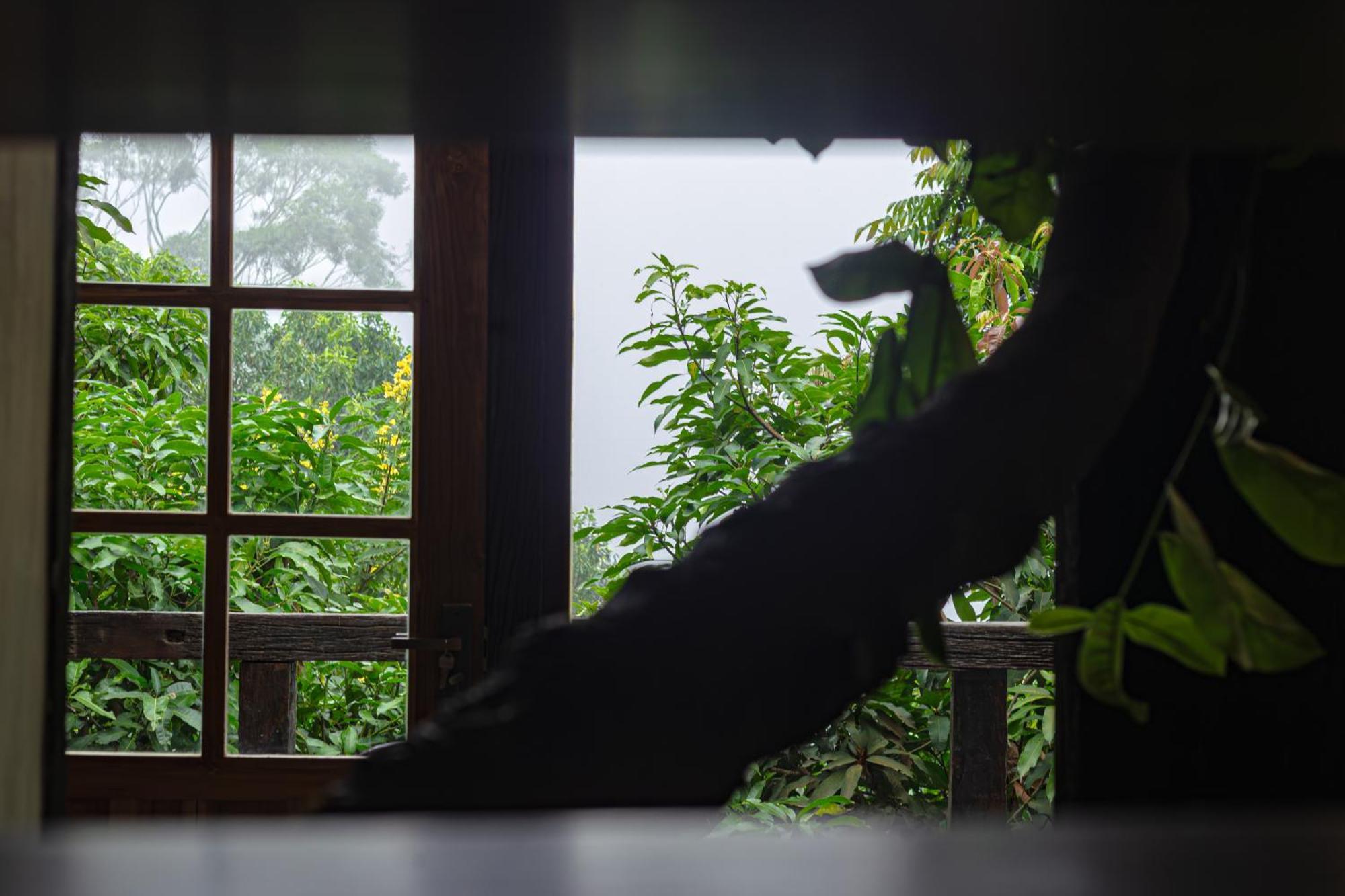 Arana Sri Lanka Eco And Yoga Center Lodge Ella
