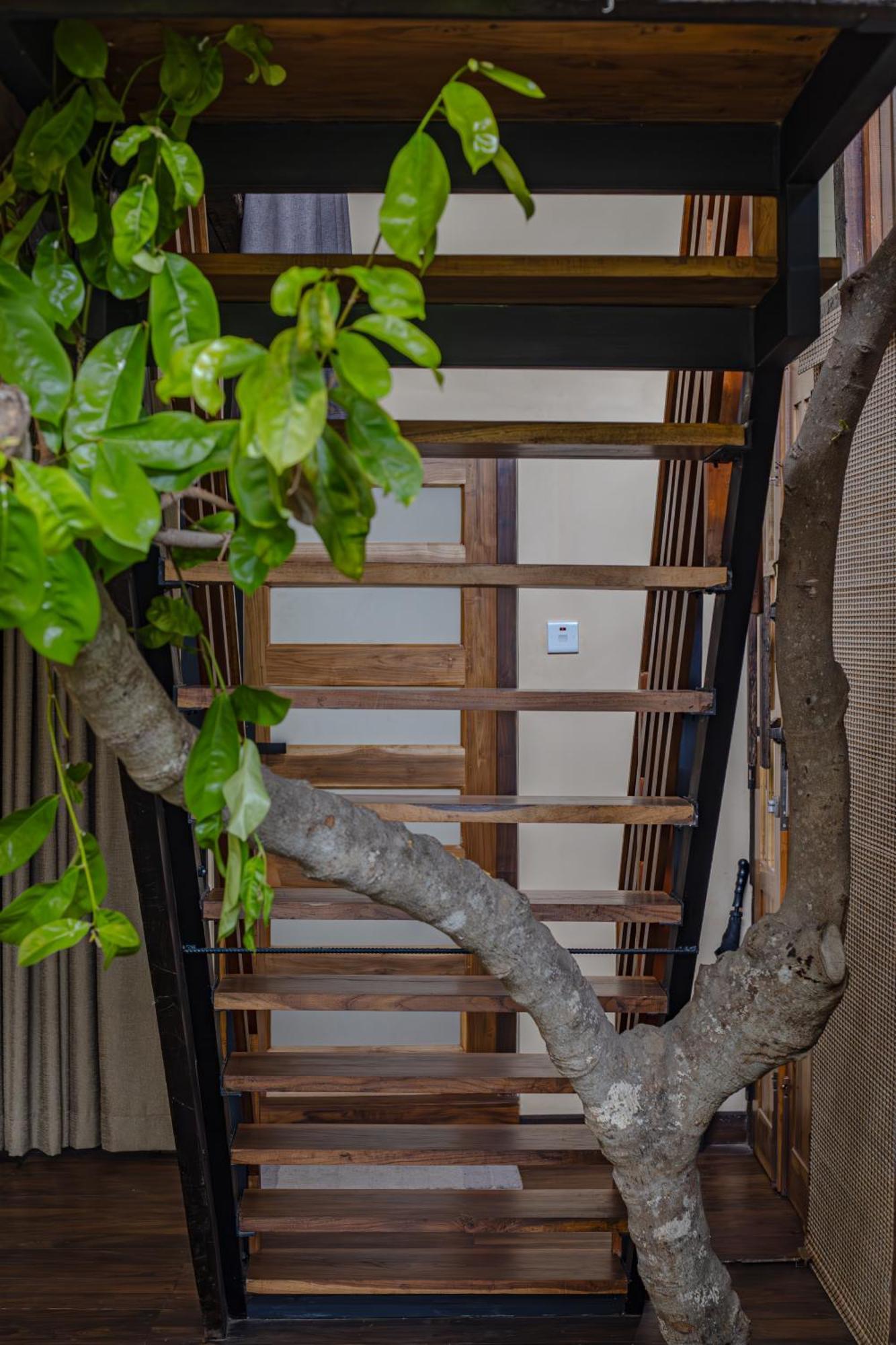Lodge Arana Sri Lanka Eco And Yoga Center *