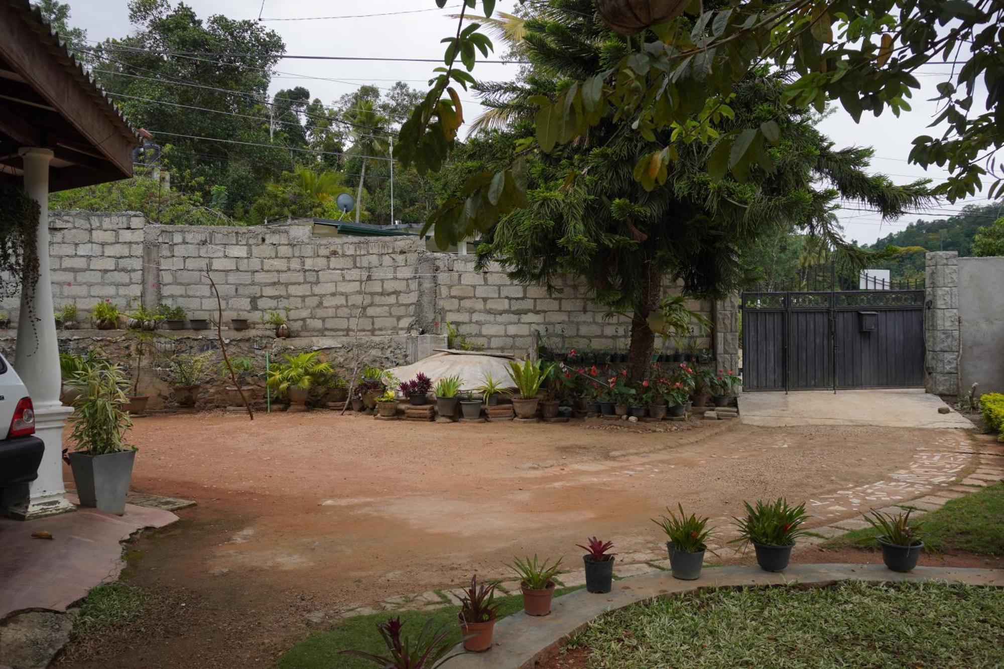 Nature Valley Homestay *
