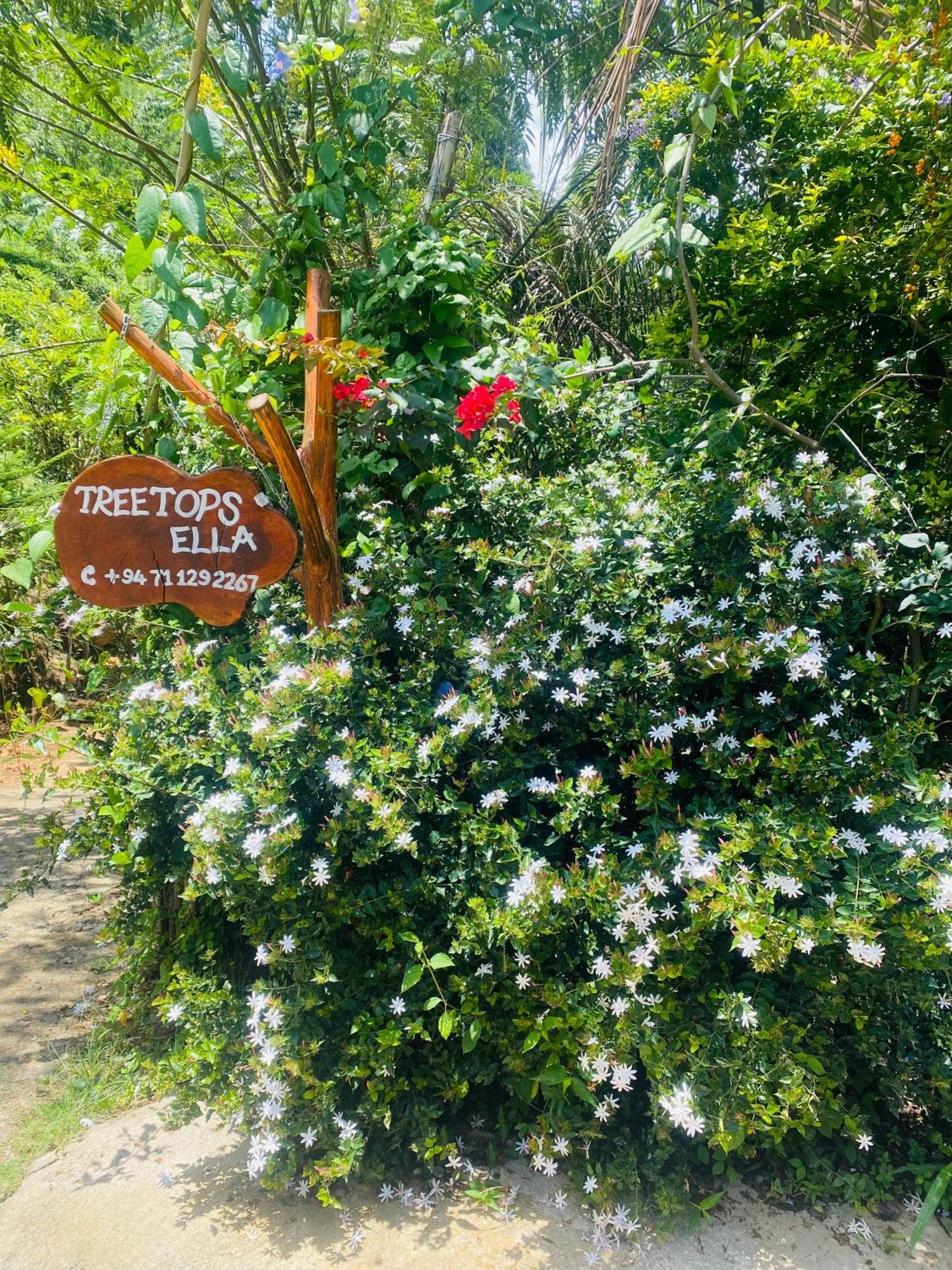 Treetops Bed & Breakfast